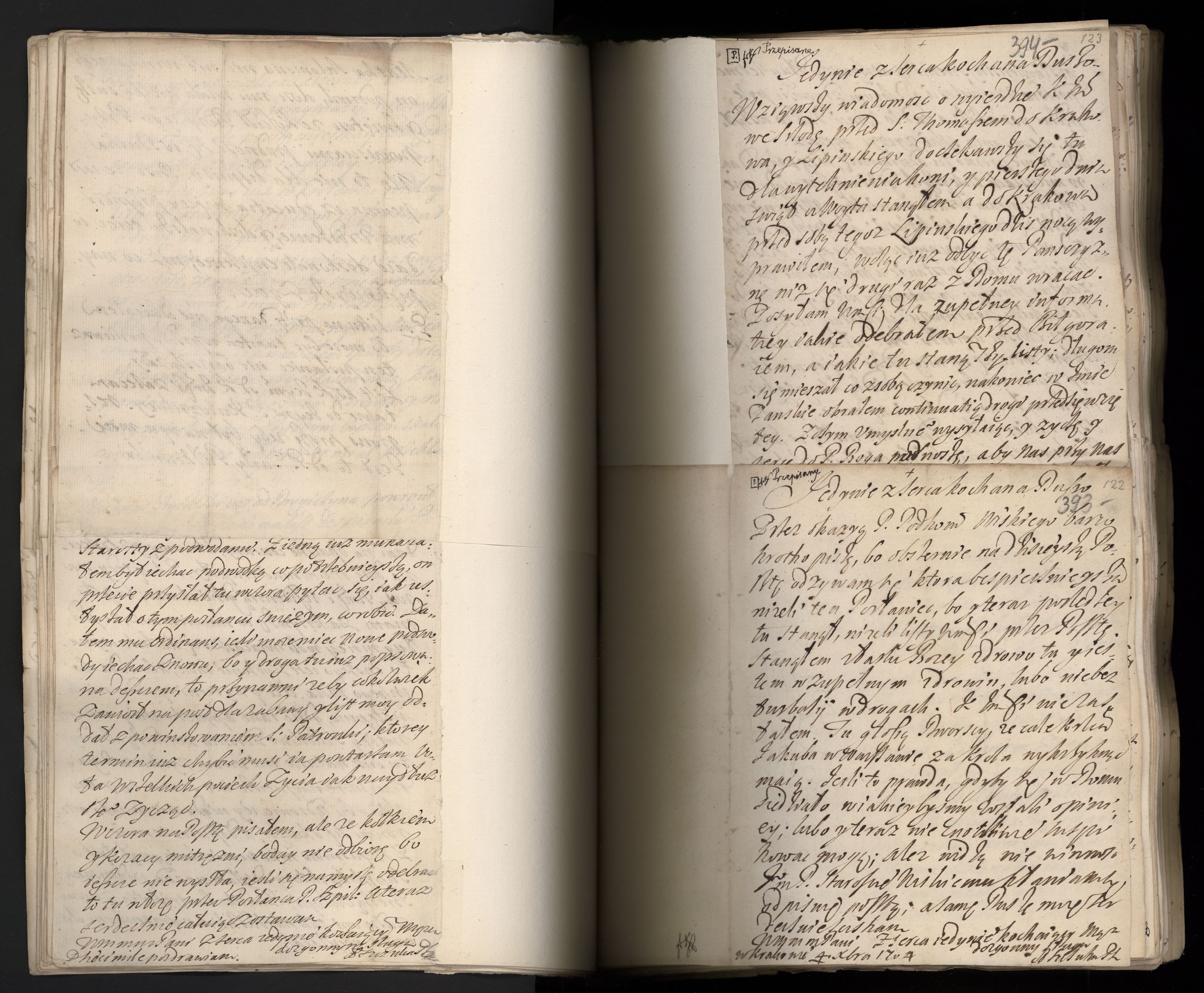 1_335_0_0_163a-42_0233