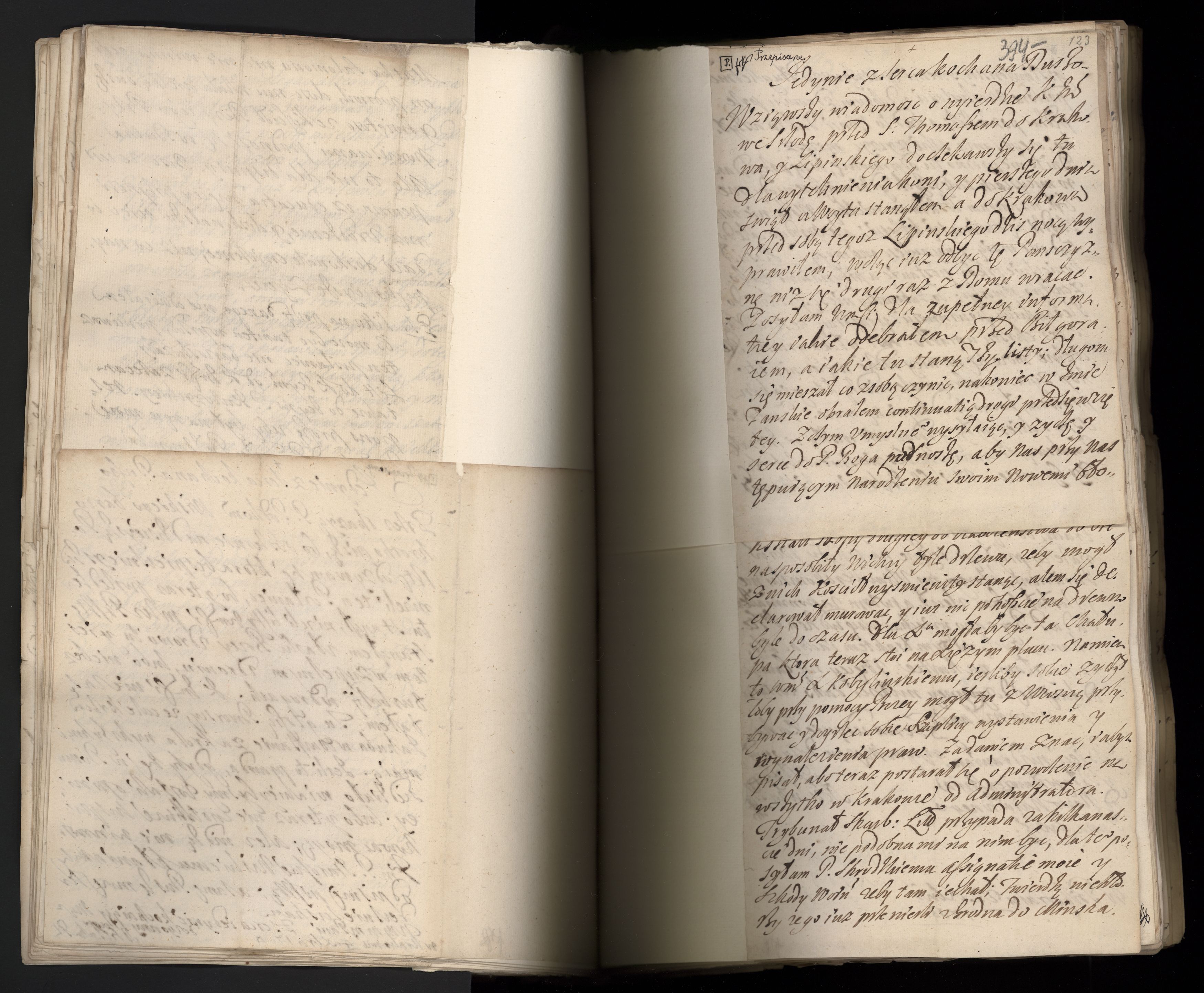 1_335_0_0_163a-42_0234