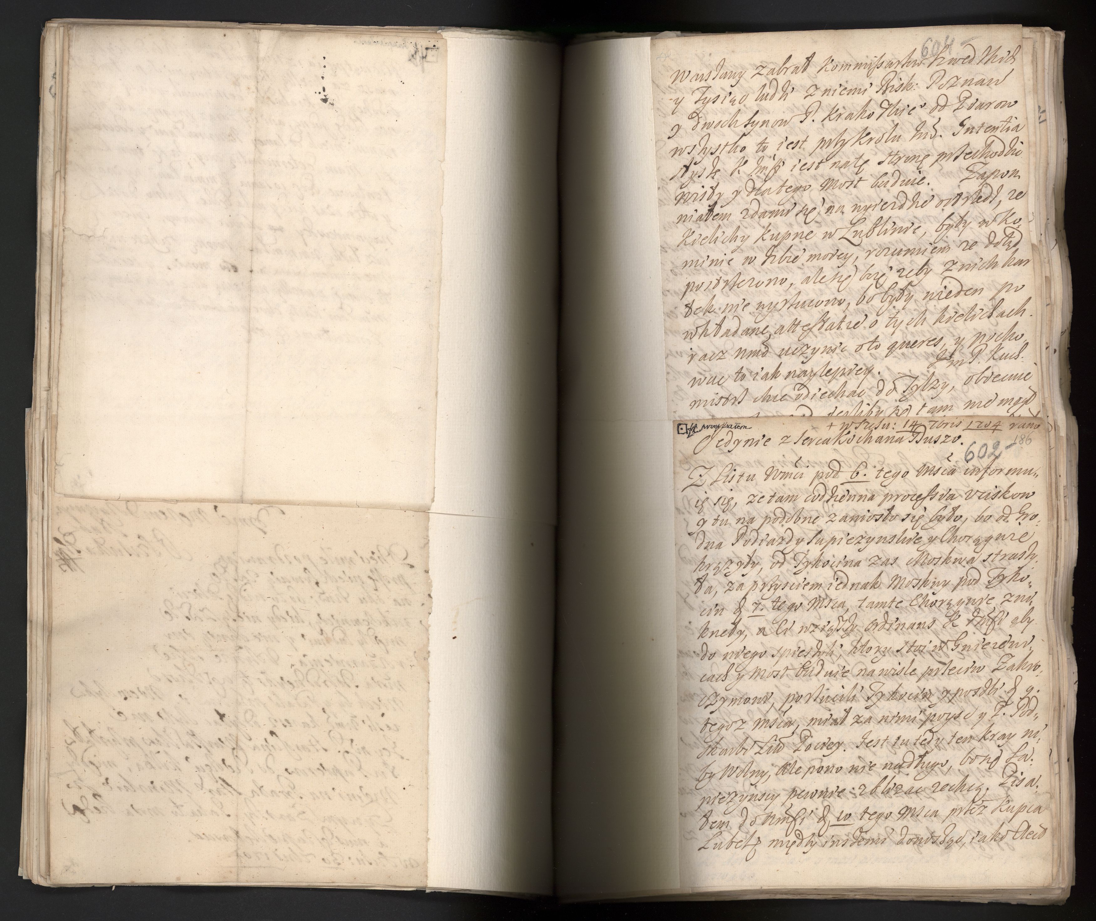 1_335_0_0_163a-42_0362