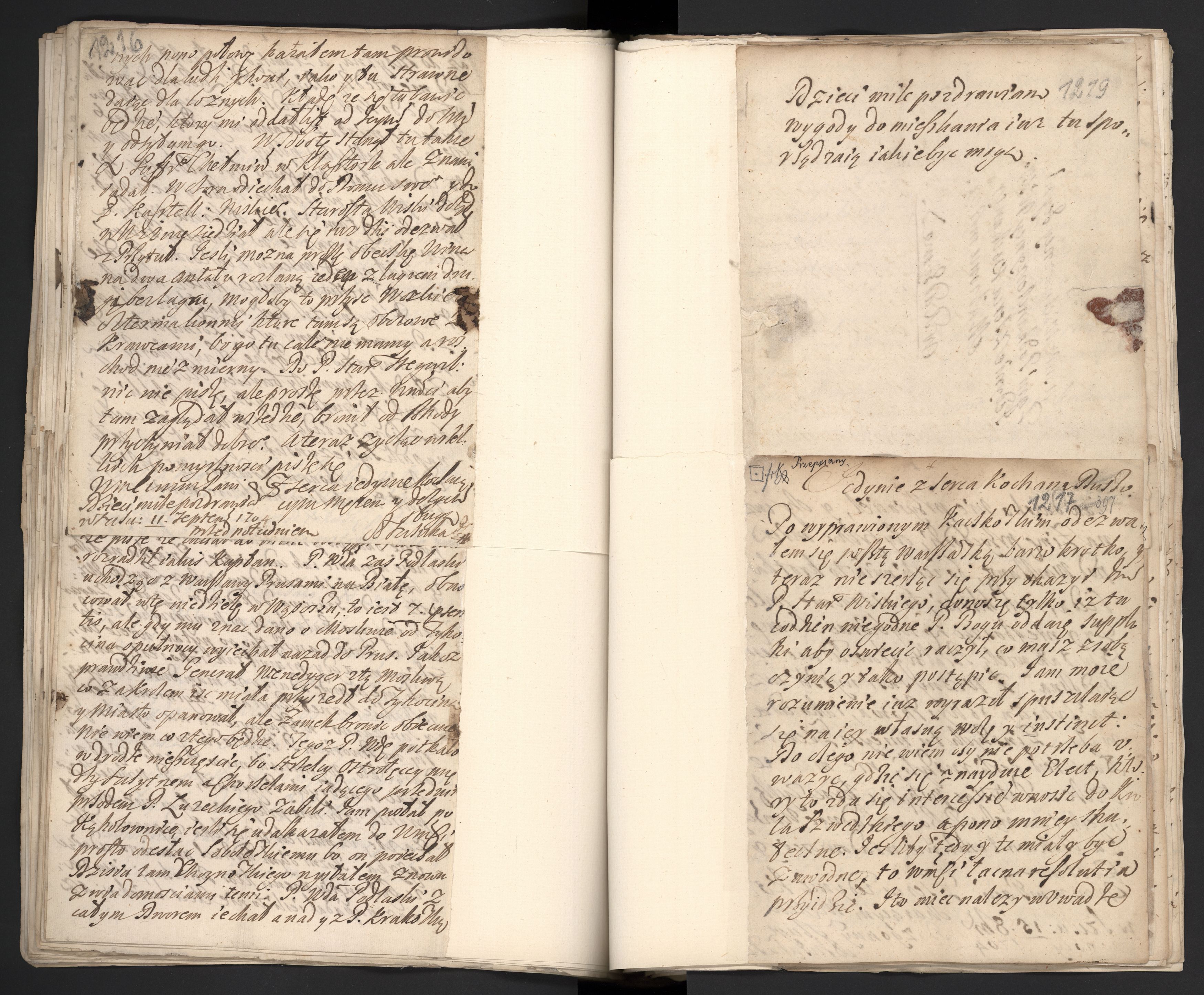 1_335_0_0_163a-42_0729