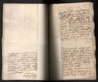 1_335_0_0_163a-42_0355