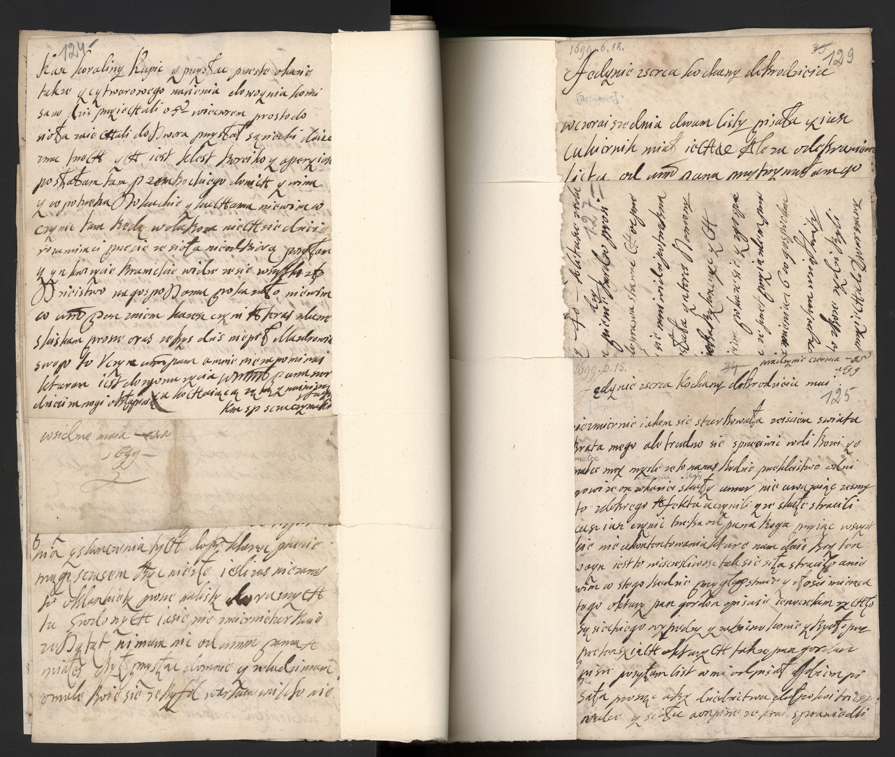 1_350_0_0_163a-43_0070