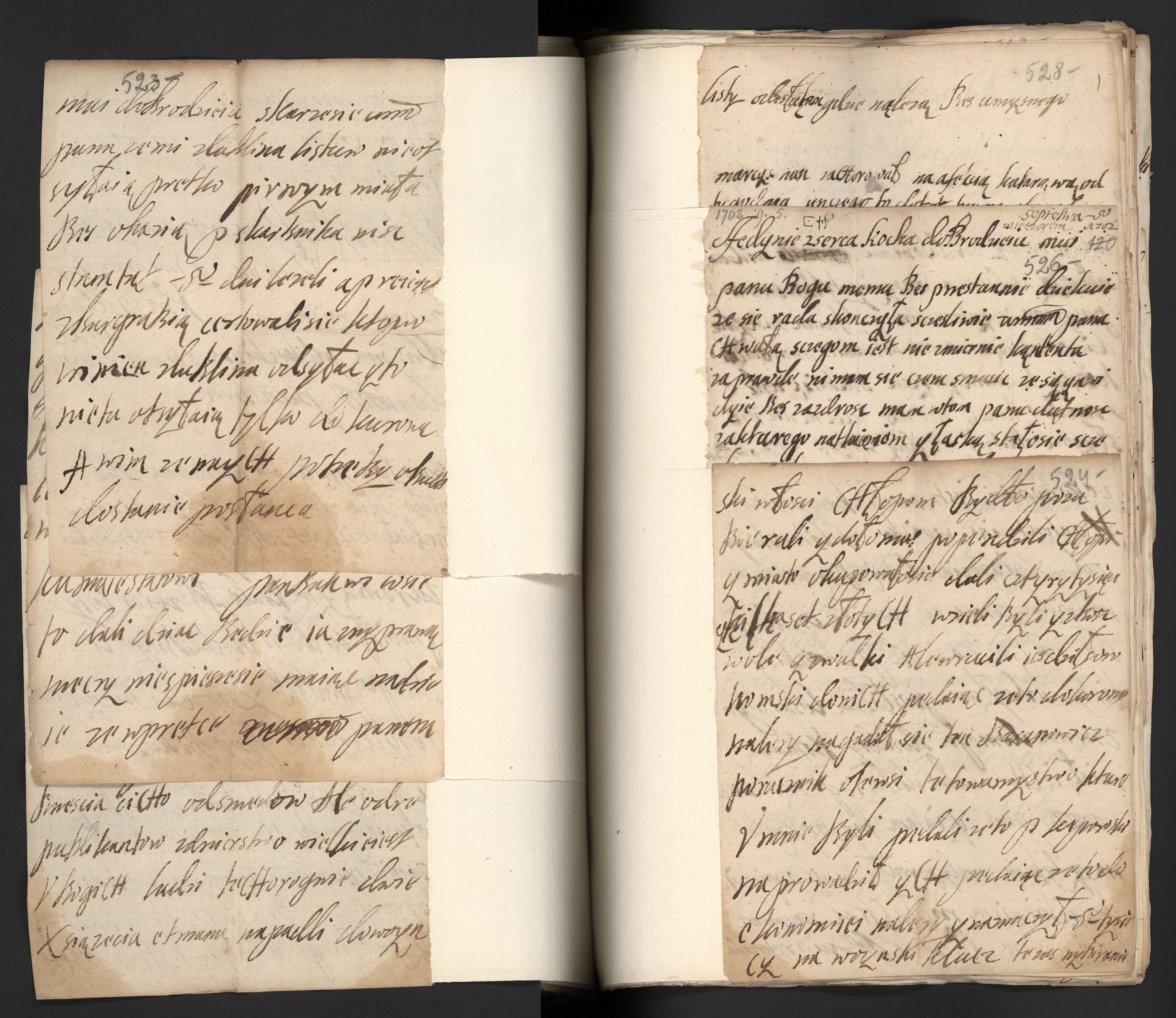 1_350_0_0_163a-43_0279