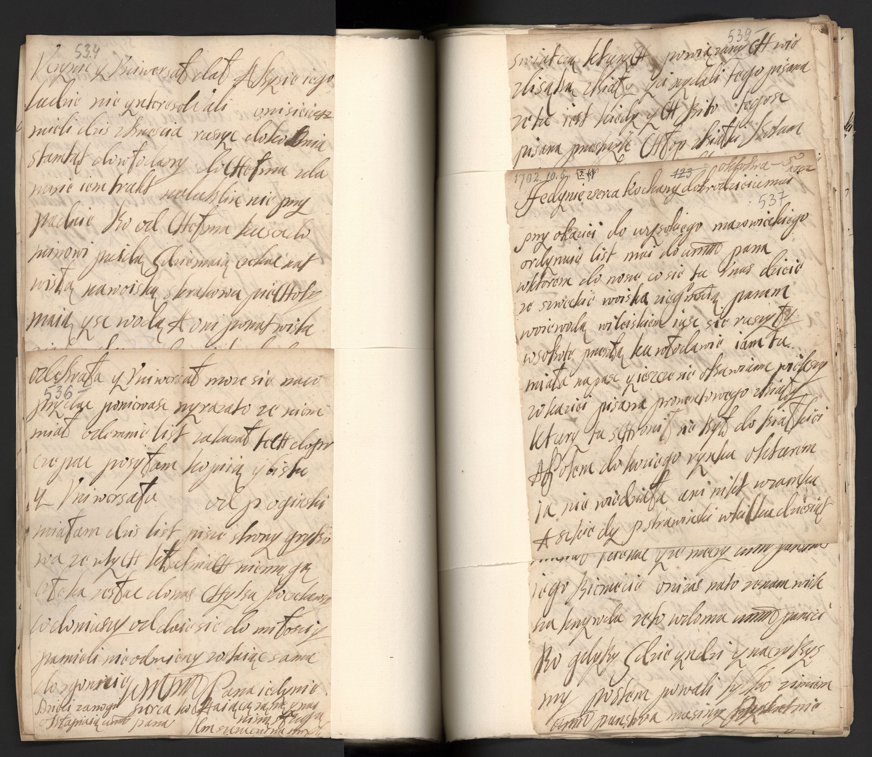 1_350_0_0_163a-43_0286