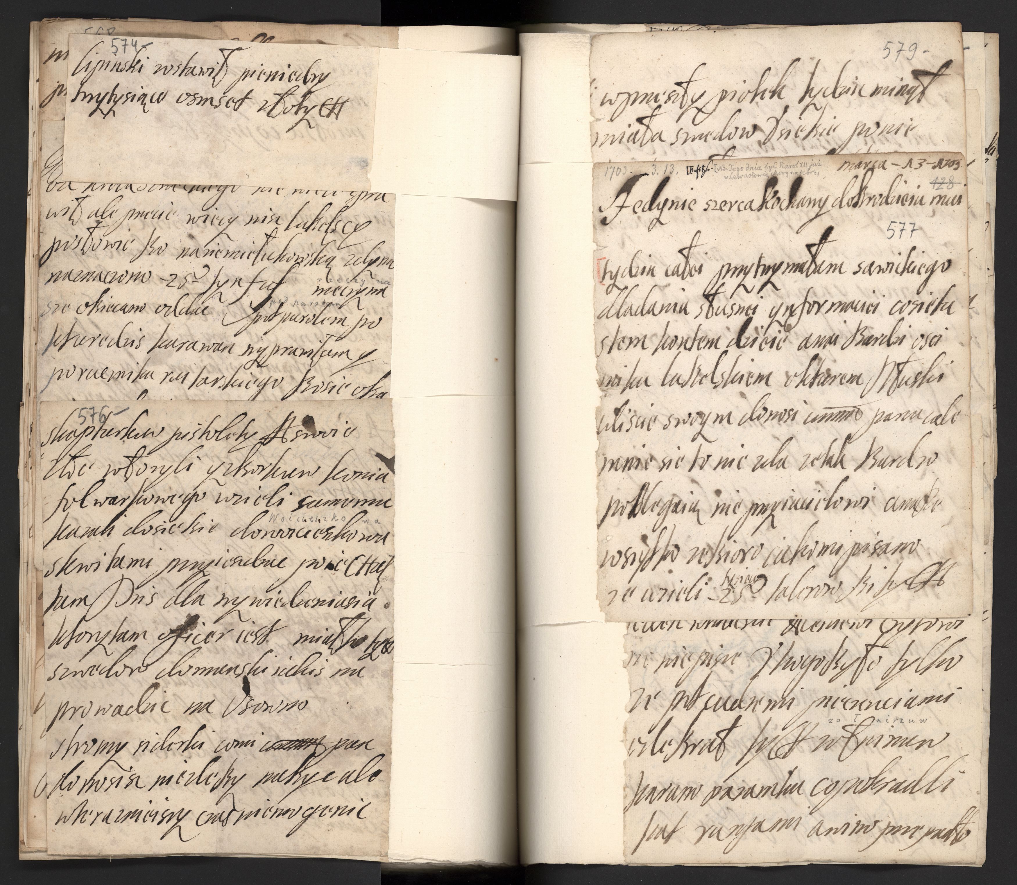 1_350_0_0_163a-43_0307