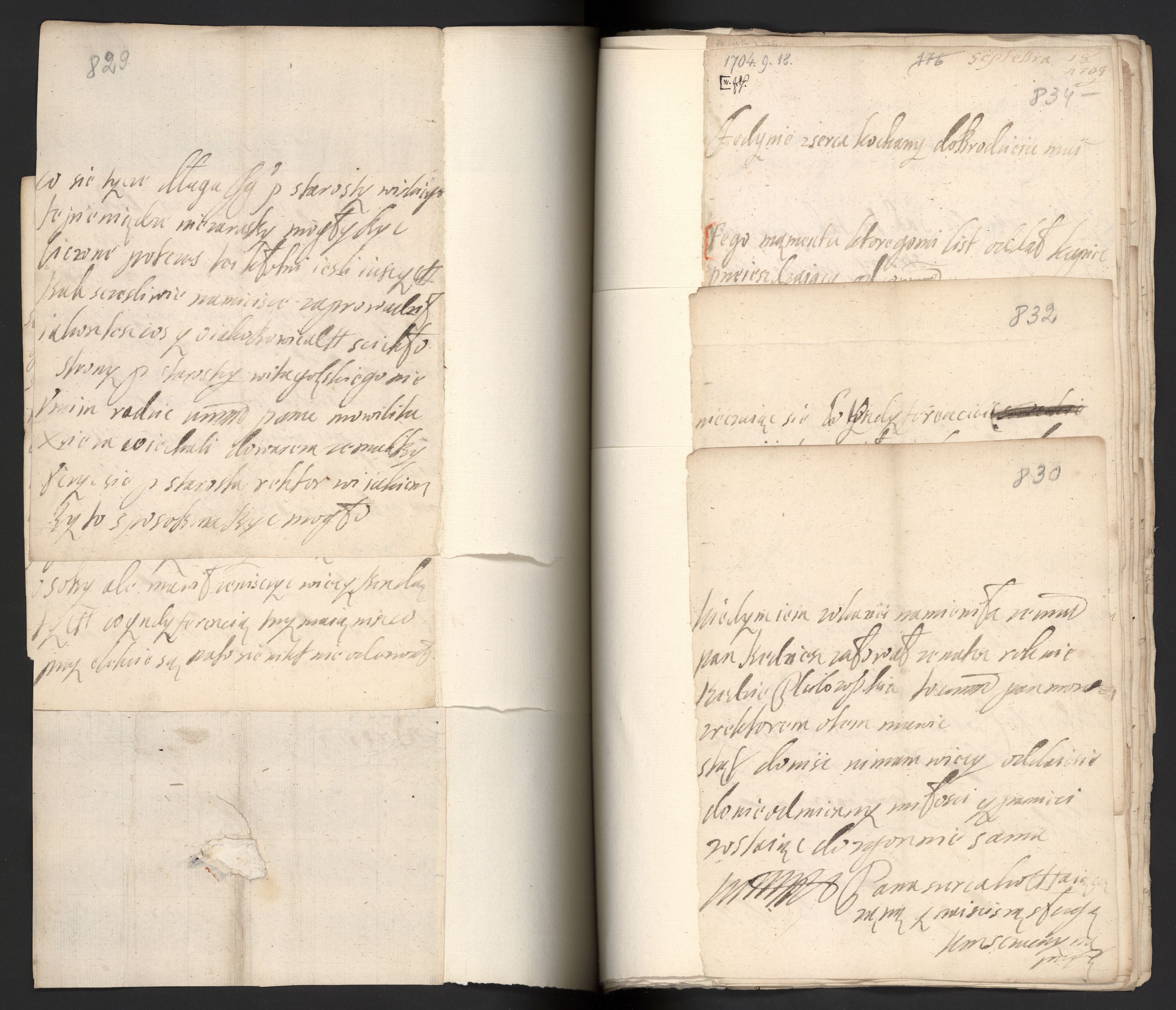 1_350_0_0_163a-43_0438