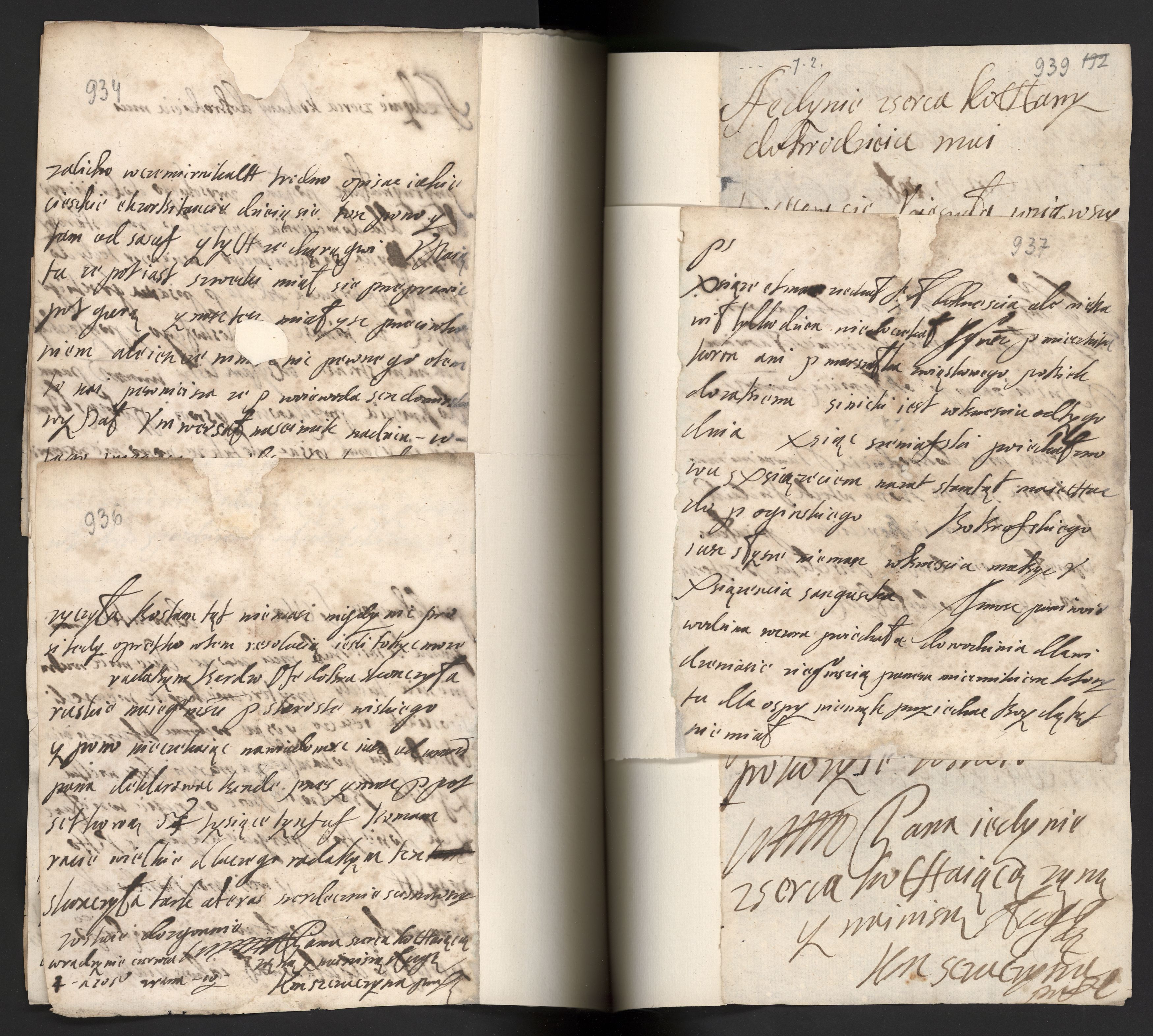 1_350_0_0_163a-43_0493