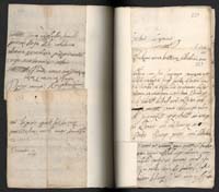 1_350_0_0_163a-43_0487