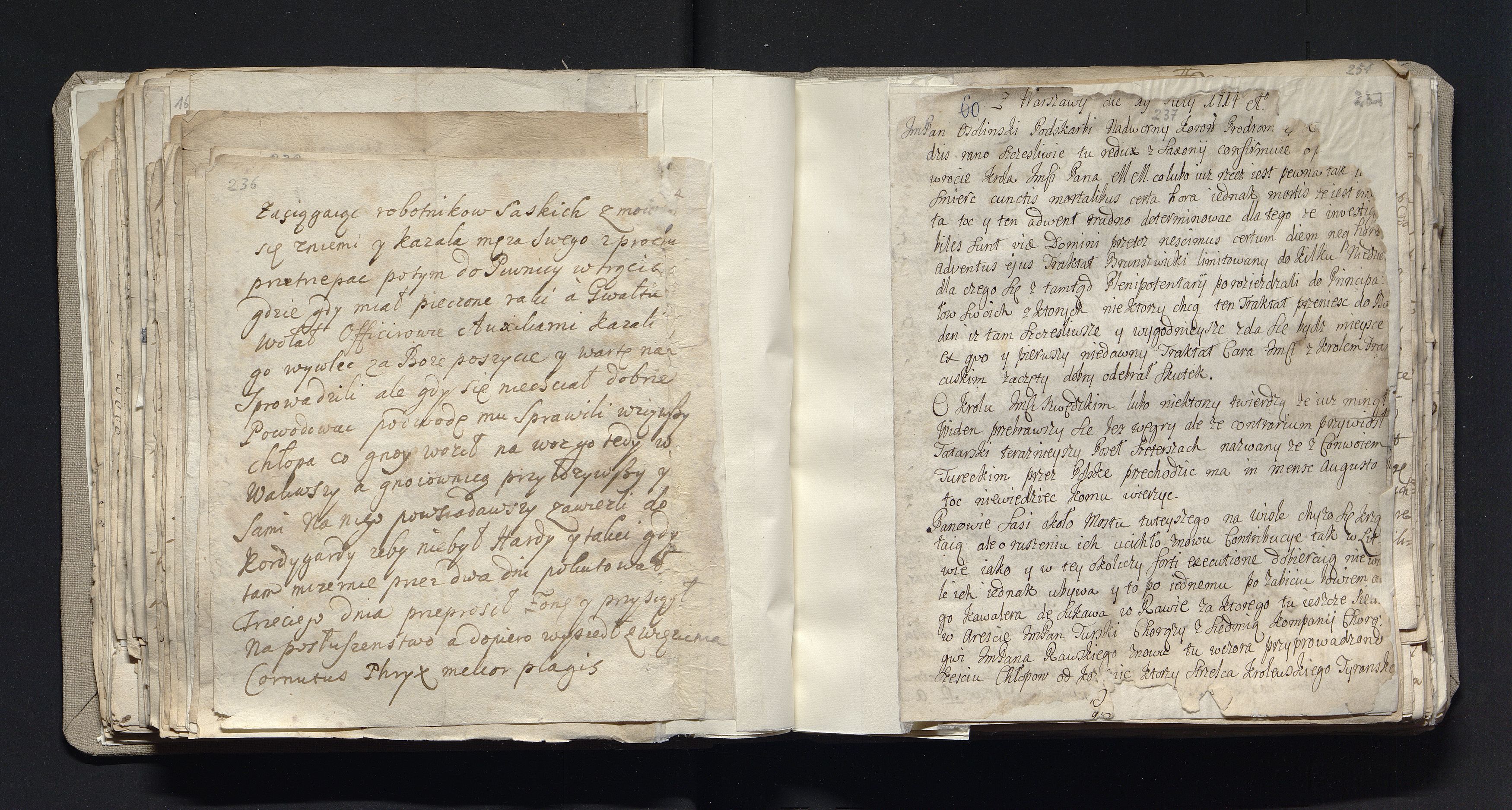 1_335_0_0_163a-44_0126