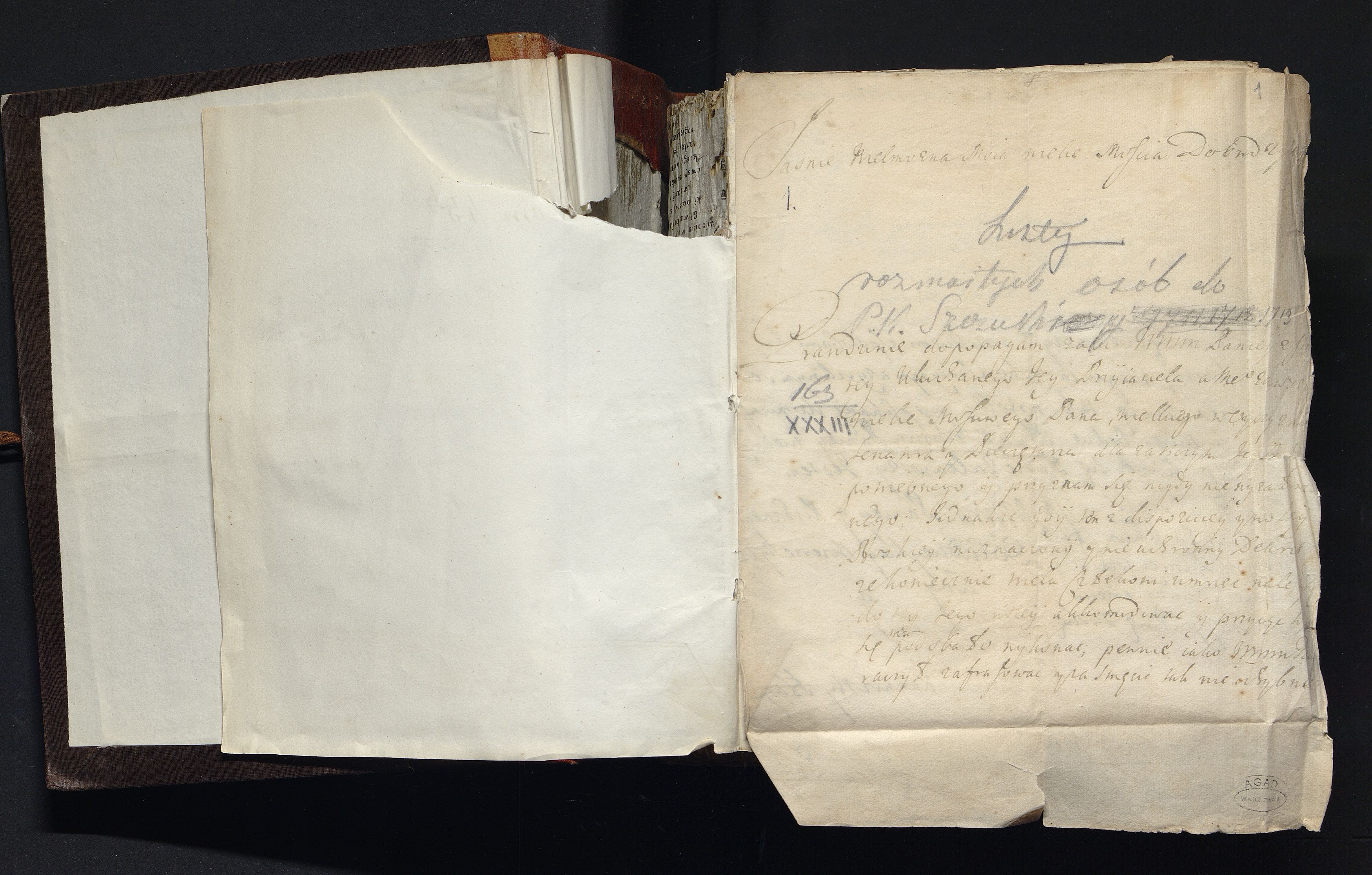 1_335_0_0_163a-45_0001