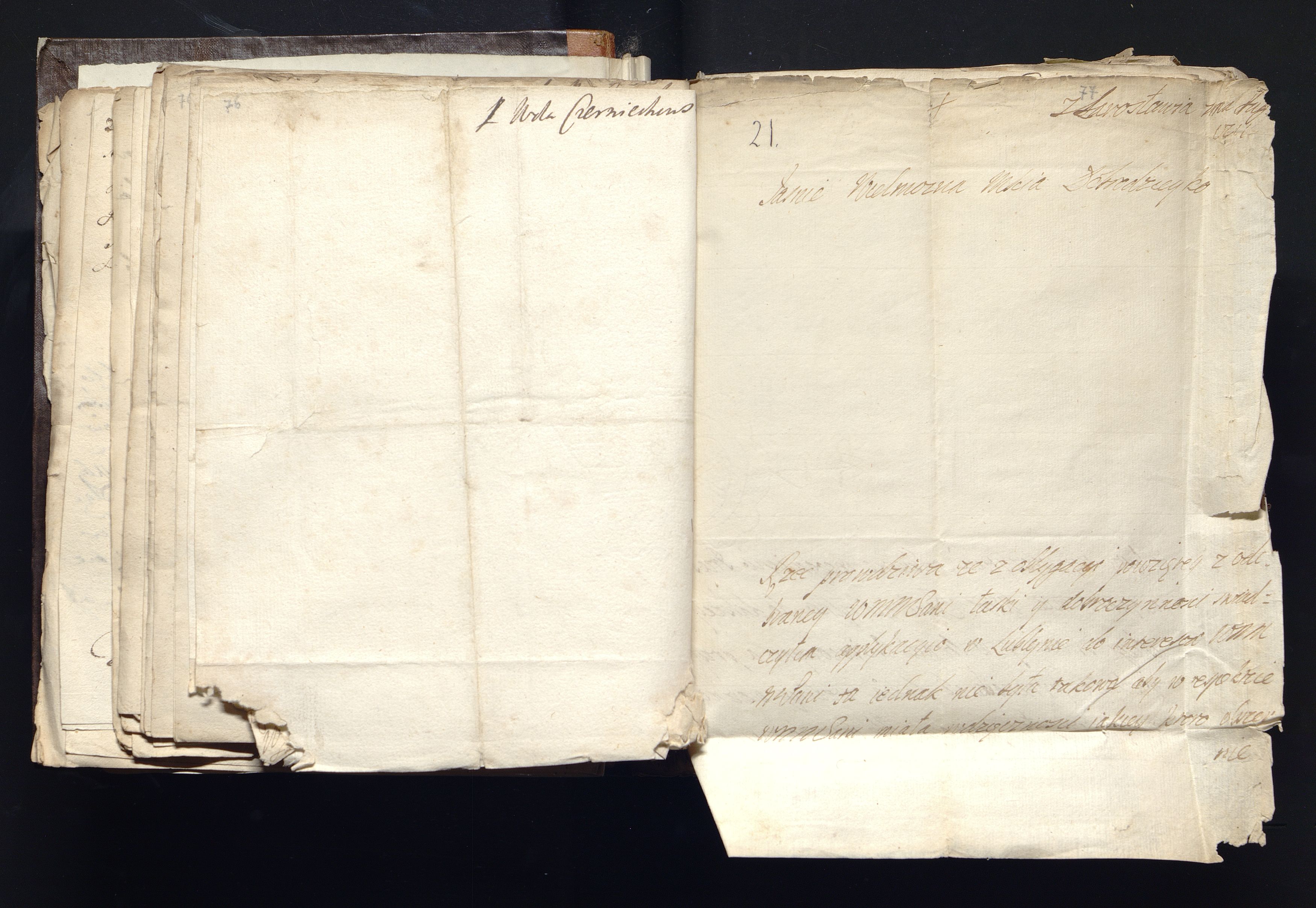 1_335_0_0_163a-45_0041