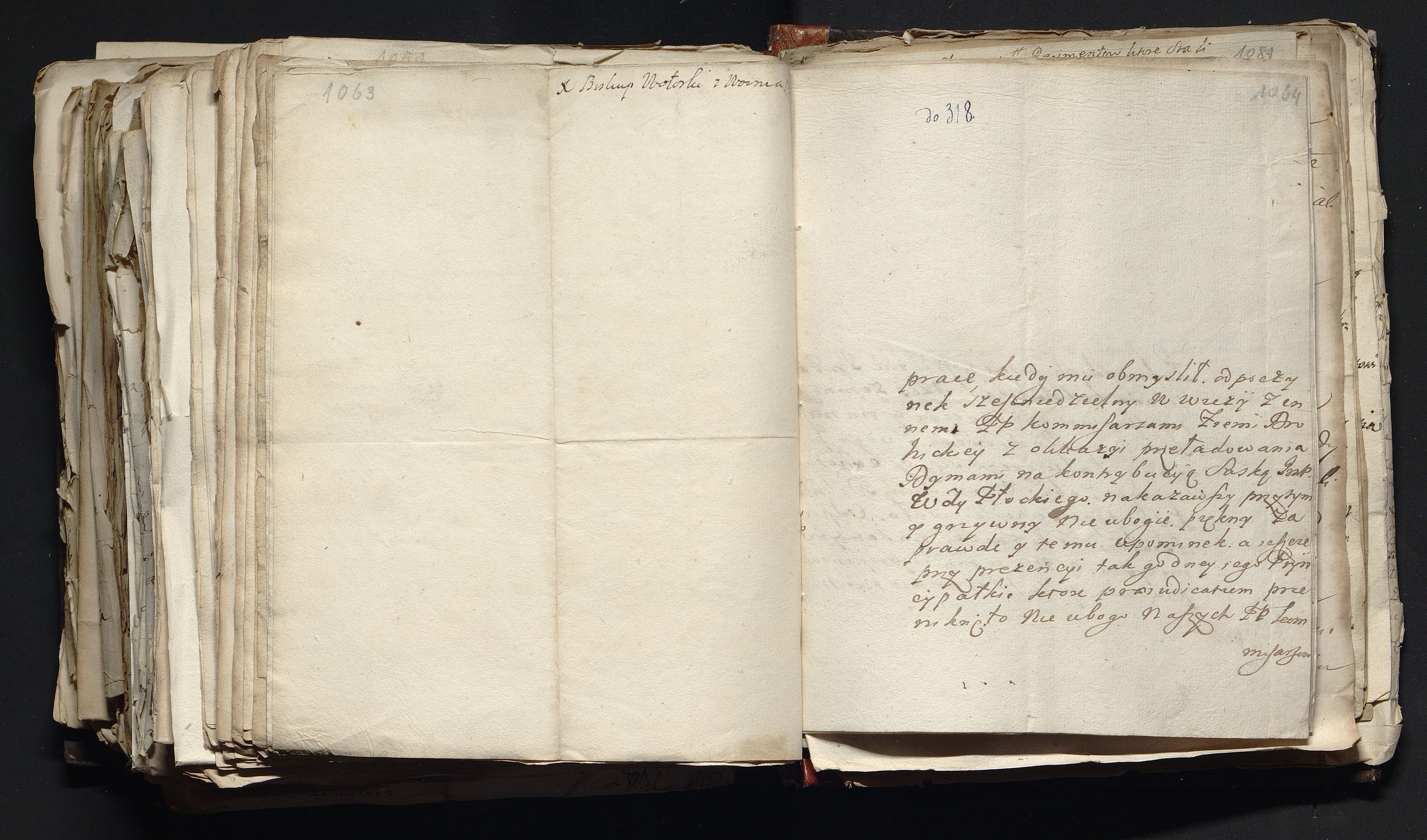 1_335_0_0_163a-45_0596