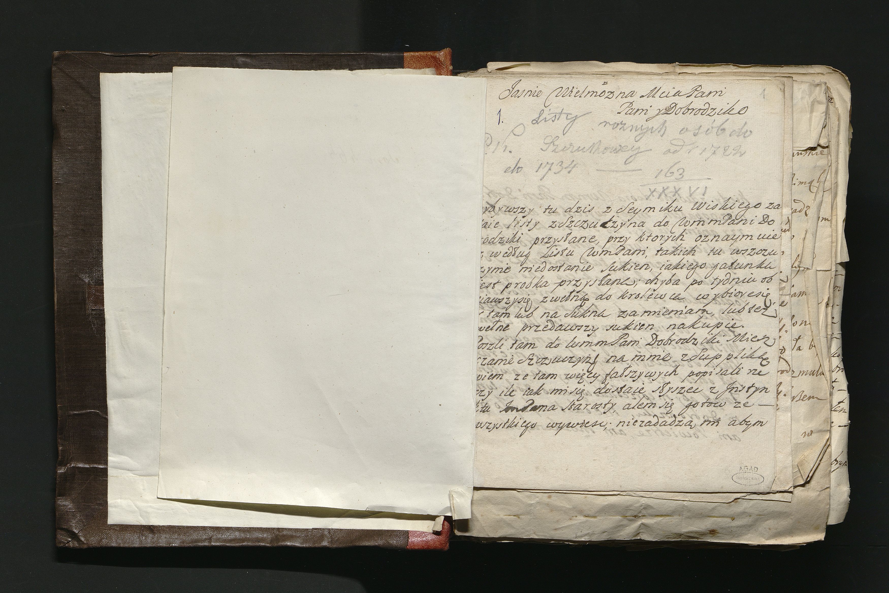 1_335_0_0_163a-46_0002