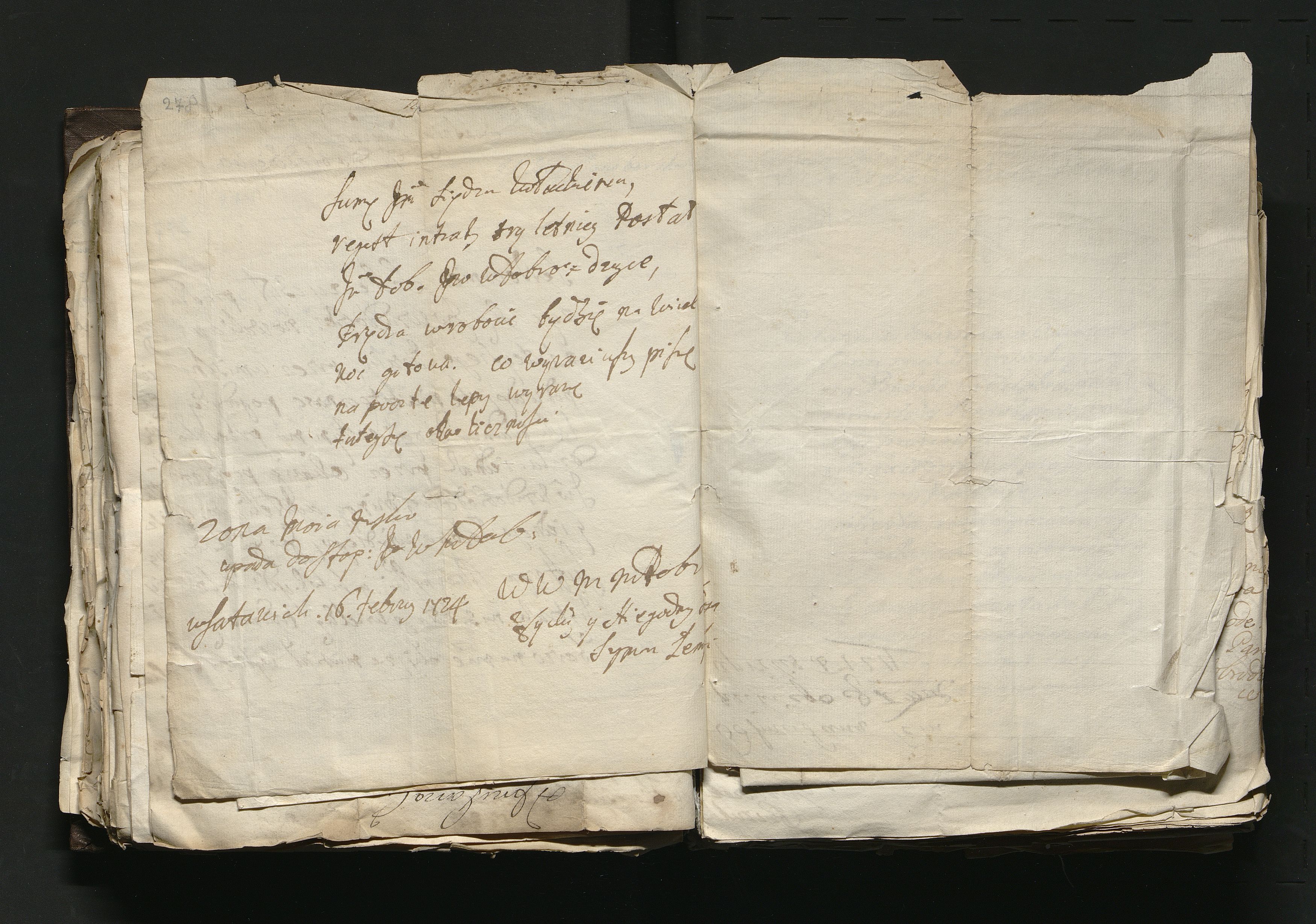 1_335_0_0_163a-46_0166