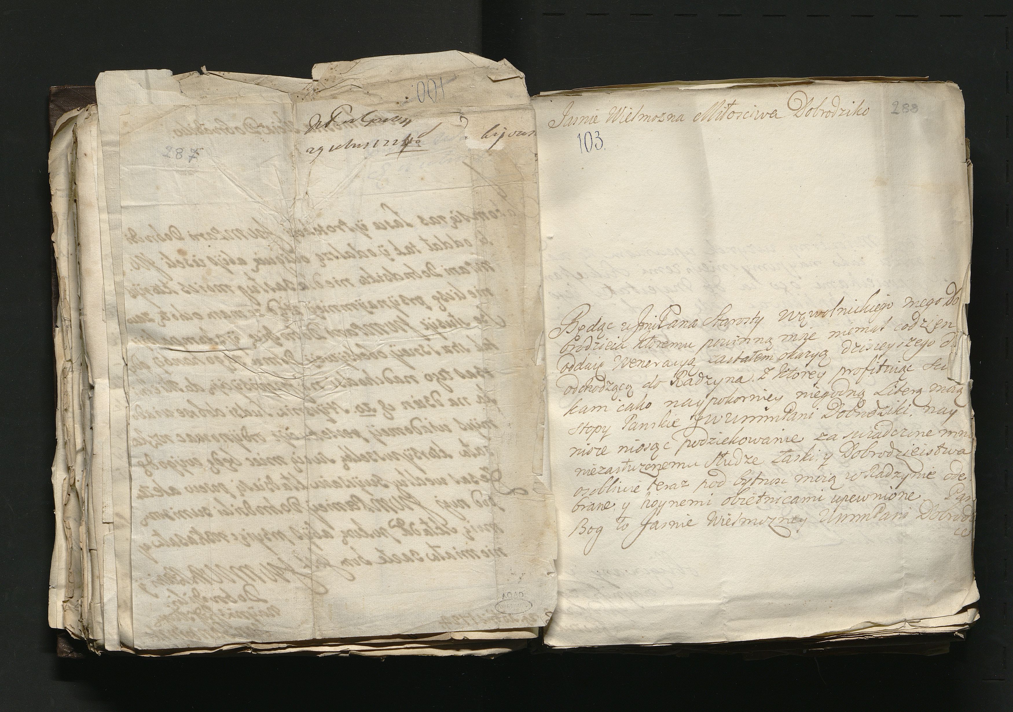 1_335_0_0_163a-46_0172