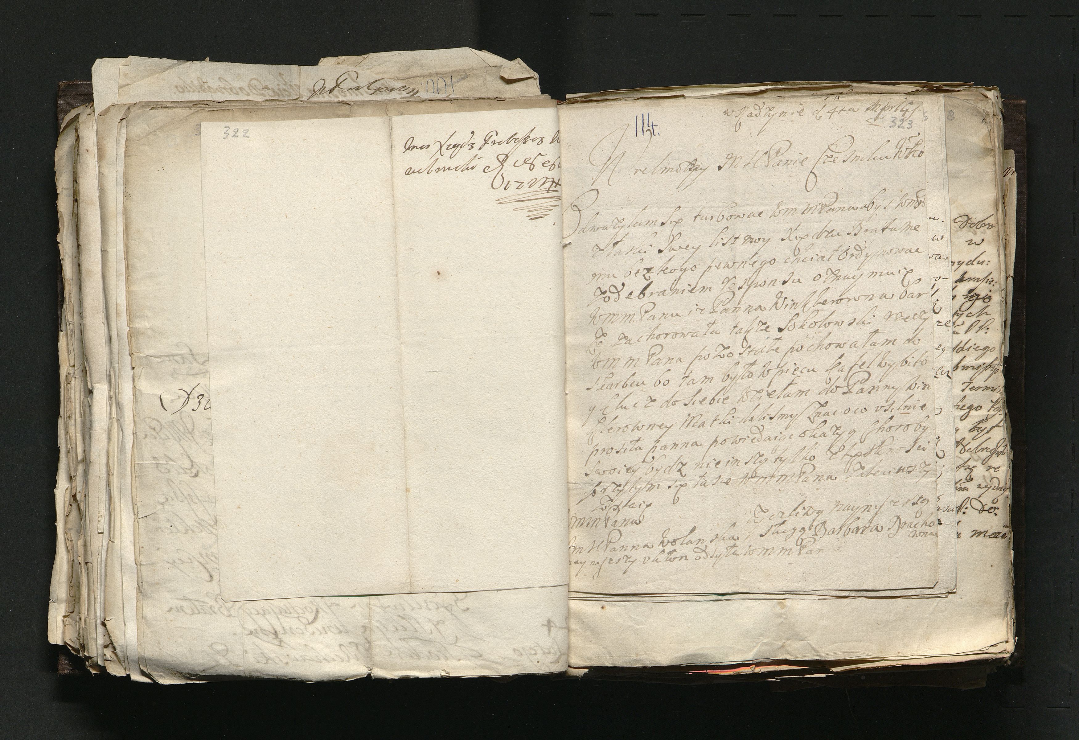 1_335_0_0_163a-46_0192