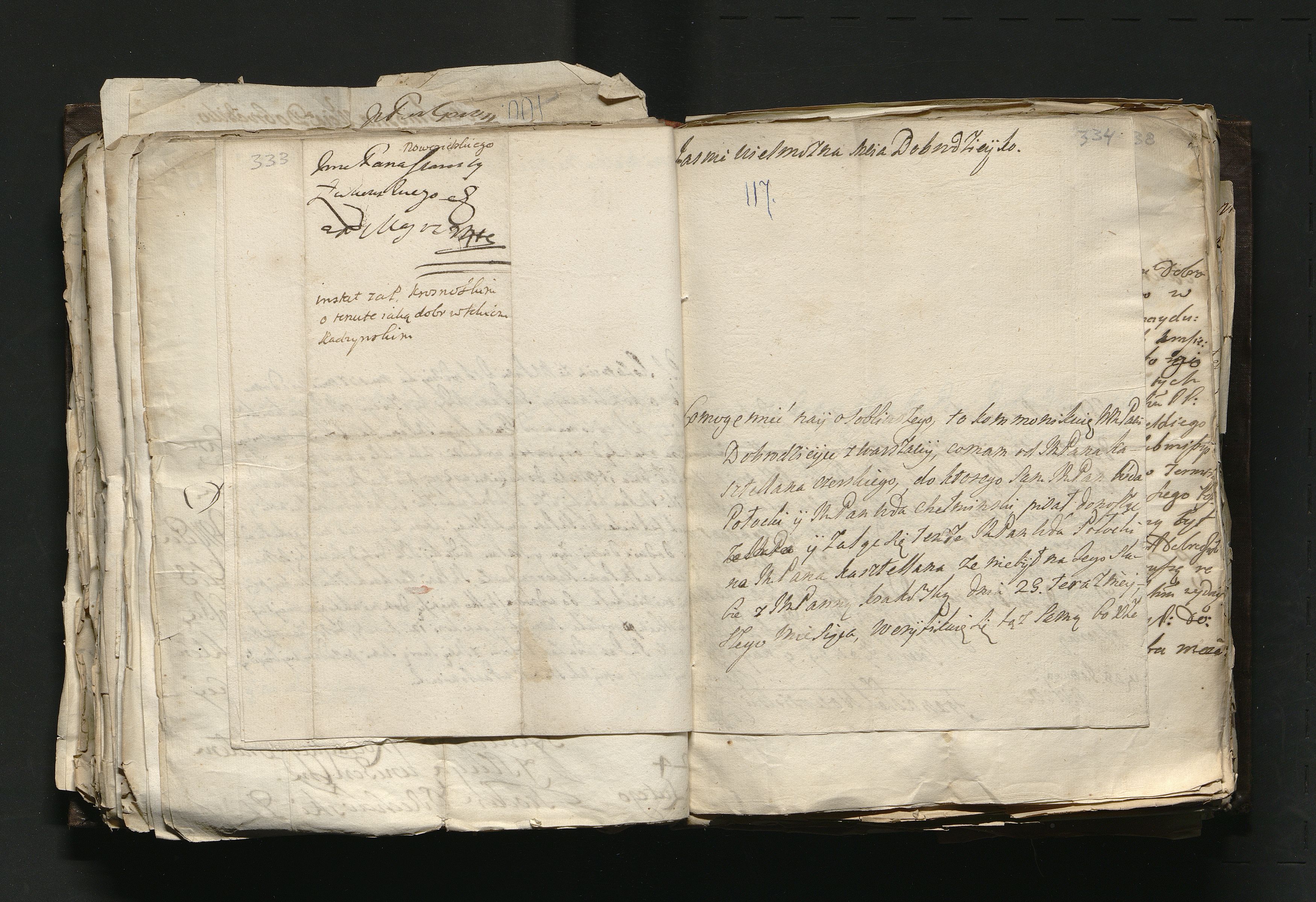 1_335_0_0_163a-46_0198