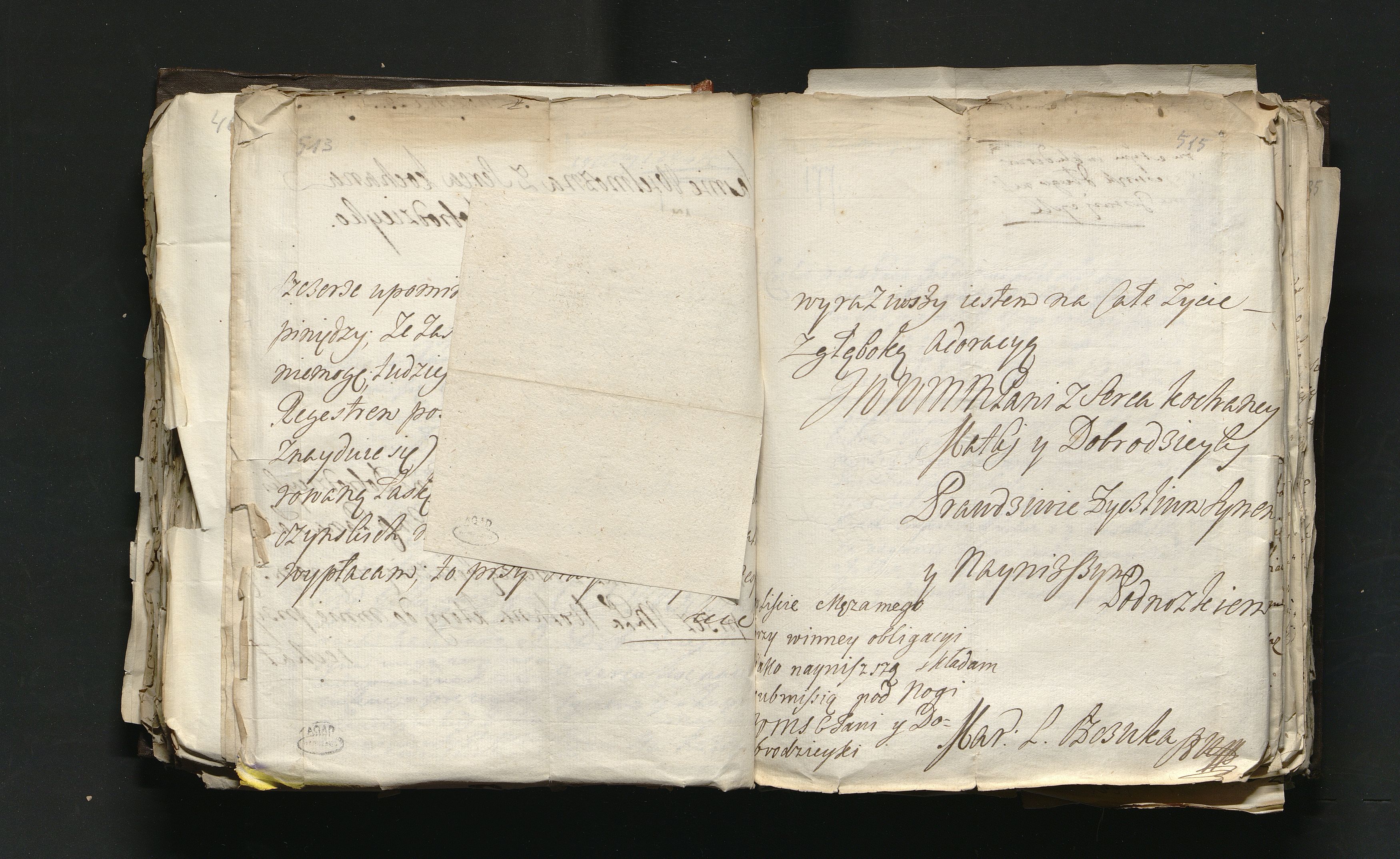 1_335_0_0_163a-46_0303