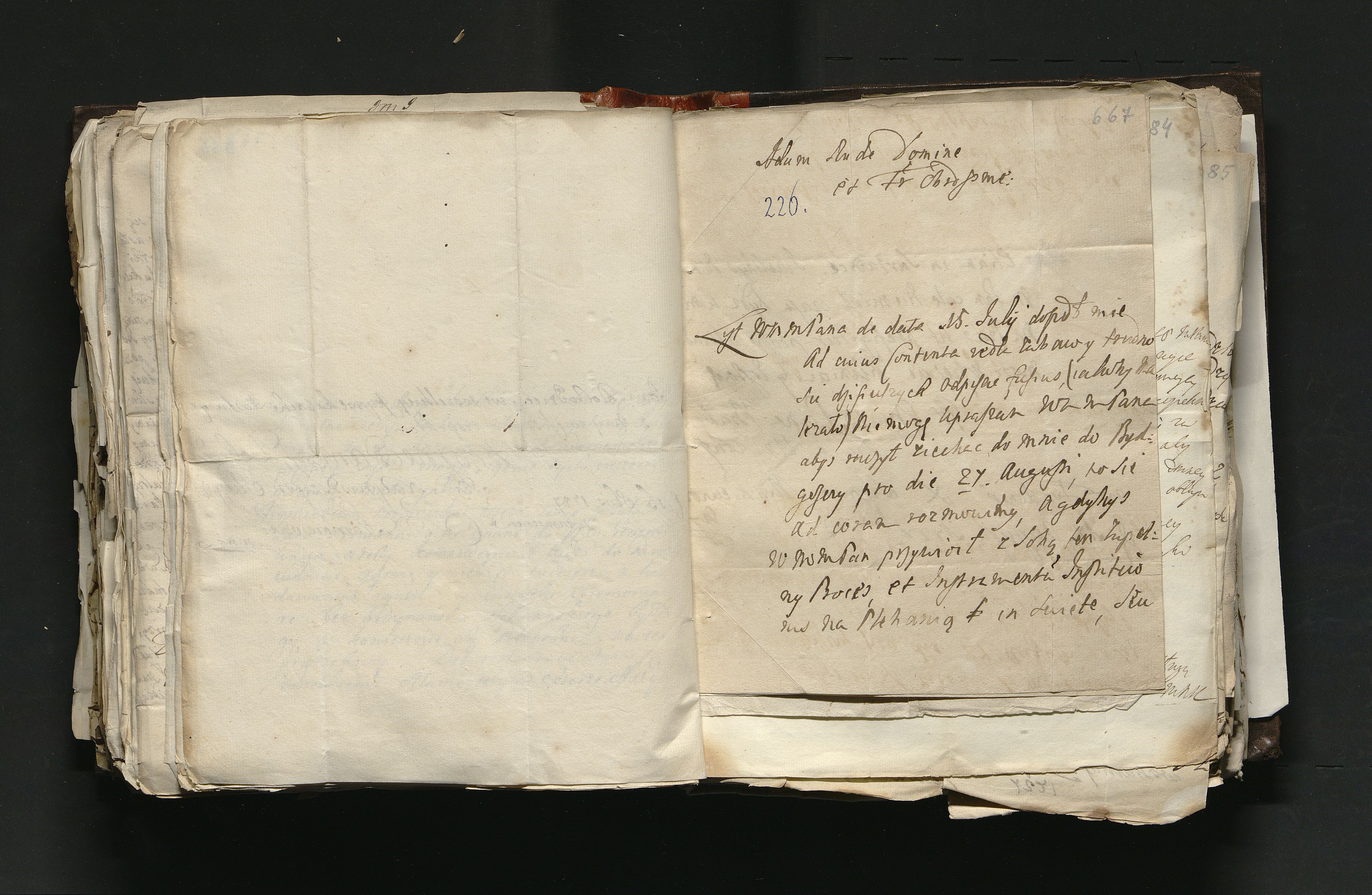 1_335_0_0_163a-46_0393