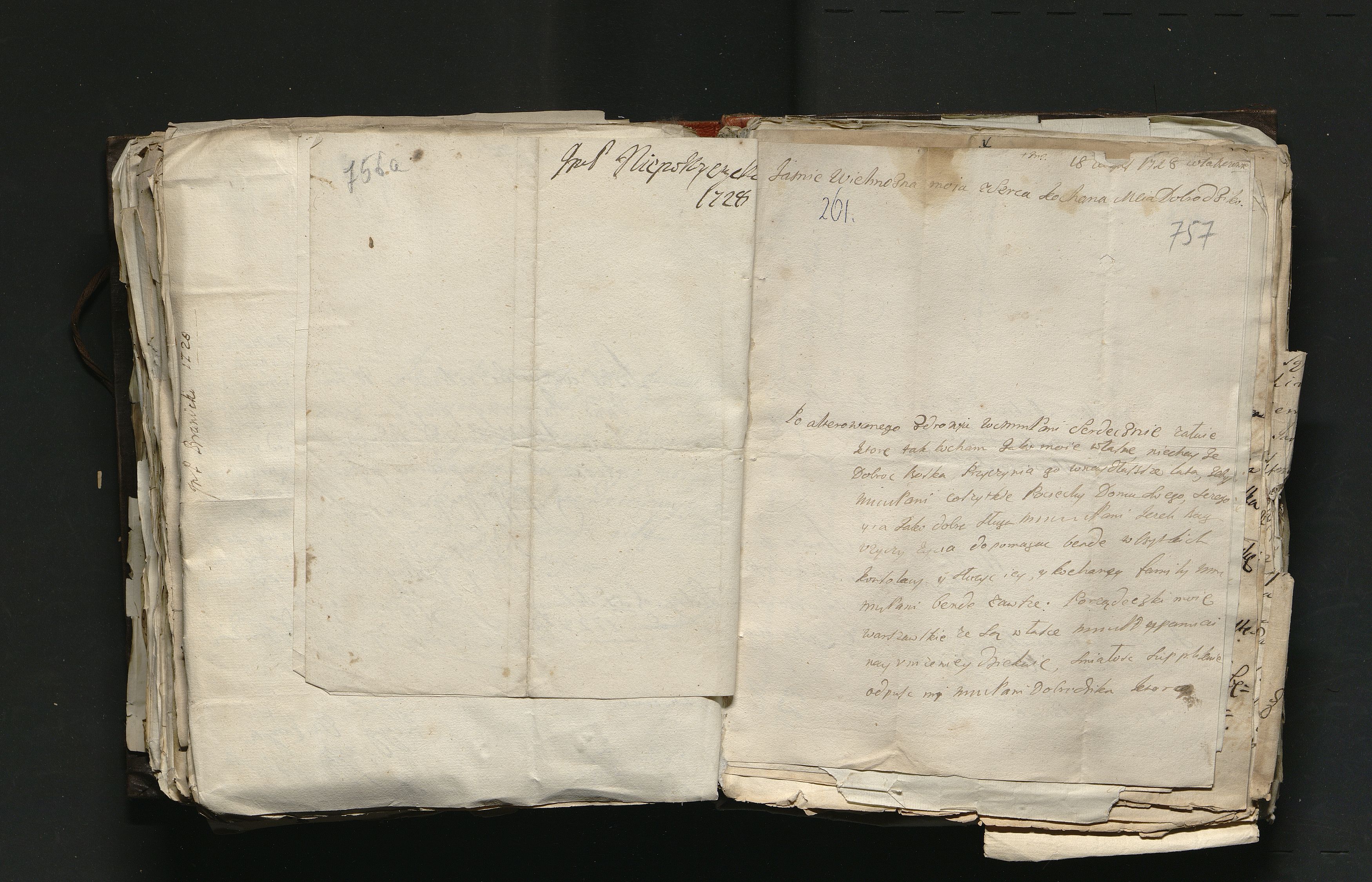 1_335_0_0_163a-46_0450