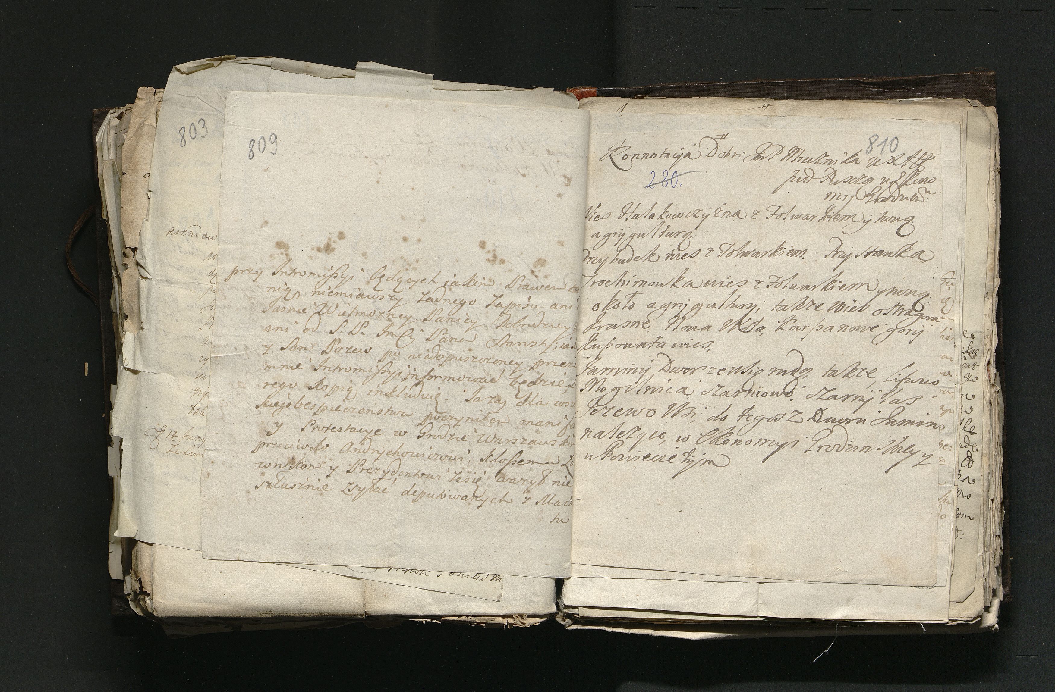 1_335_0_0_163a-46_0480