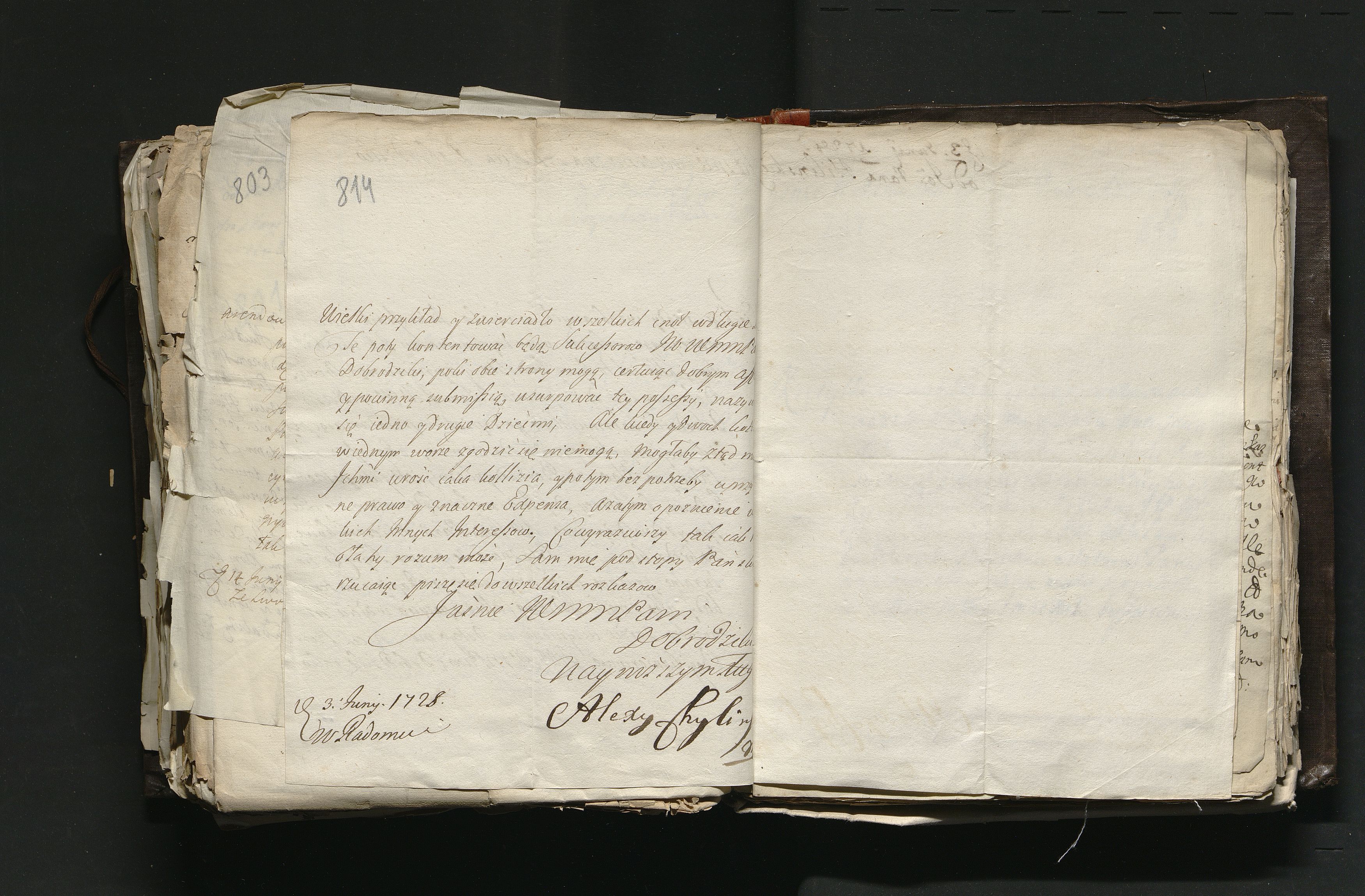 1_335_0_0_163a-46_0483