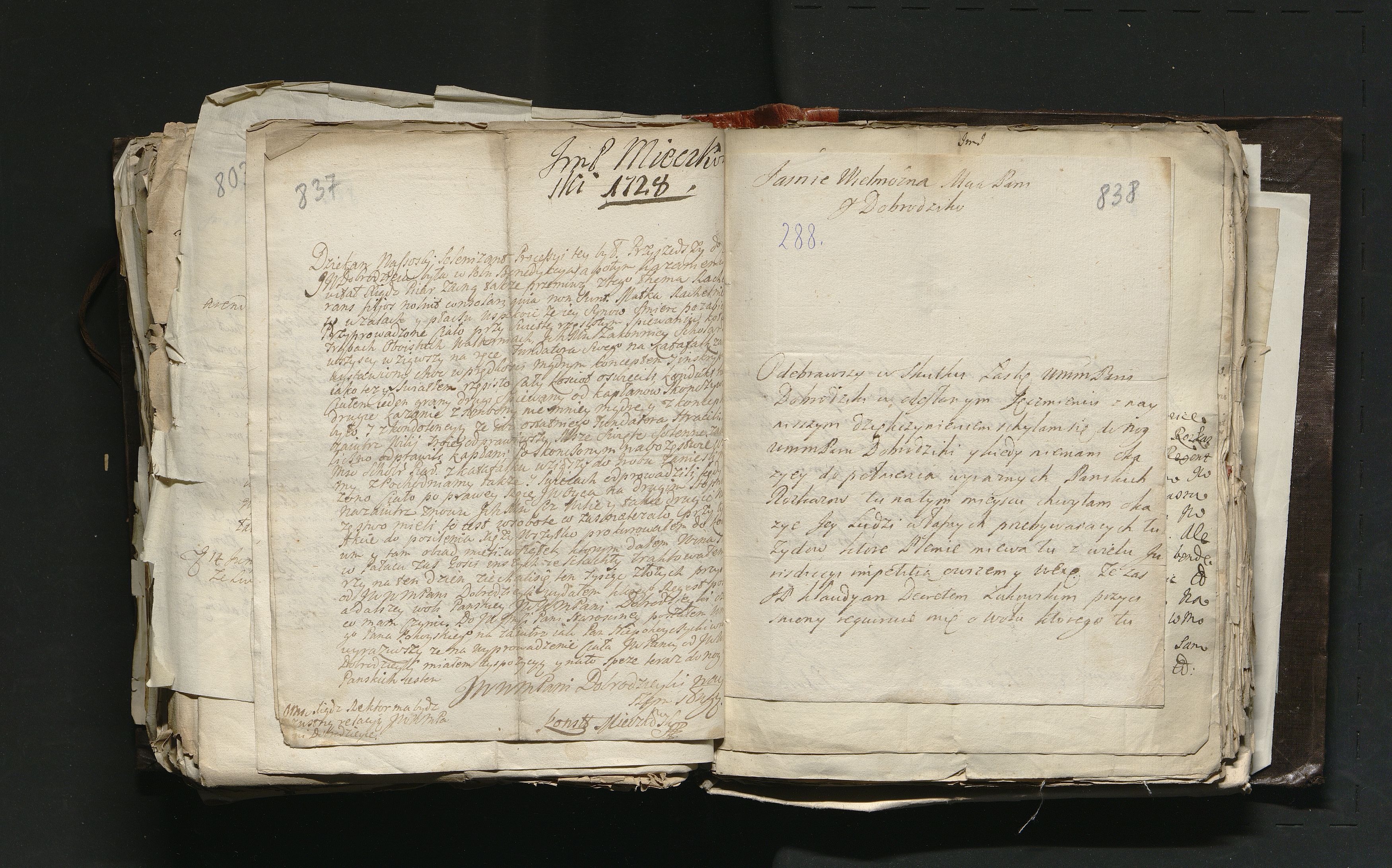 1_335_0_0_163a-46_0496