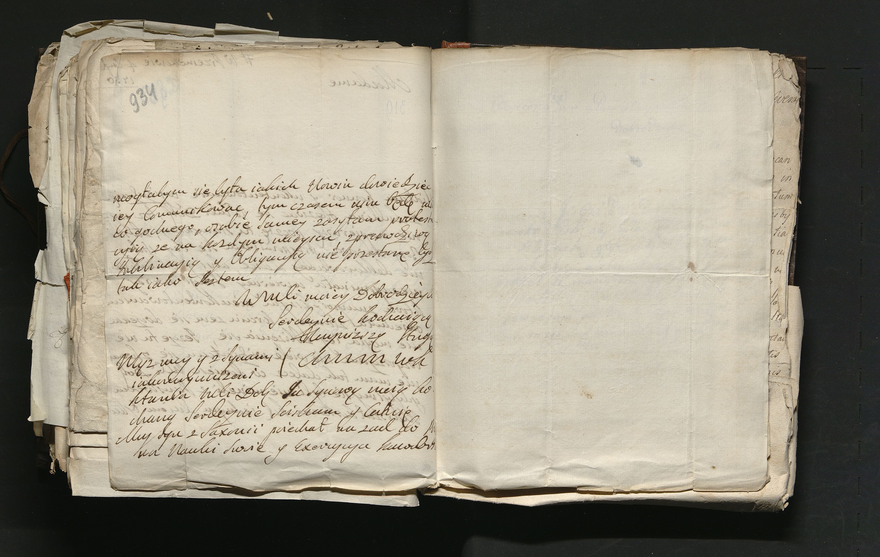 1_335_0_0_163a-46_0554