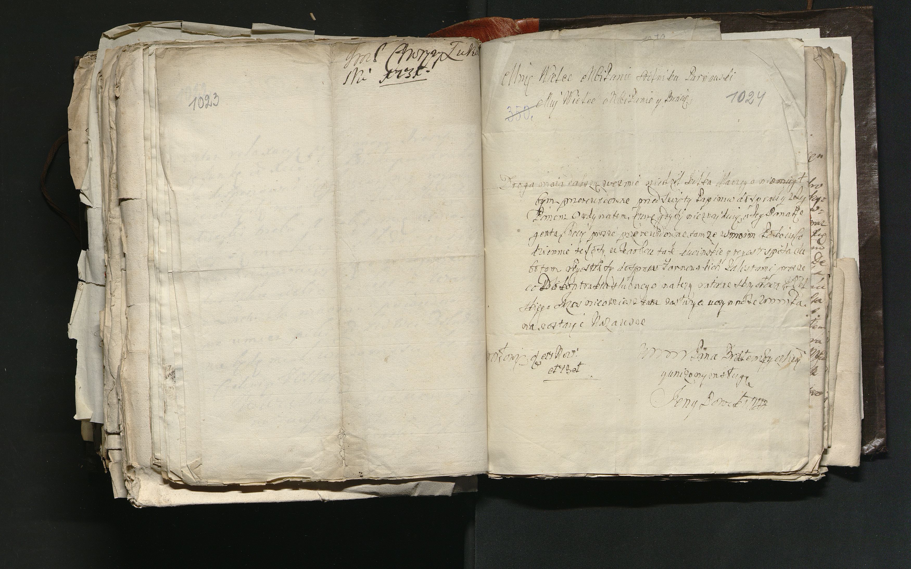 1_335_0_0_163a-46_0608