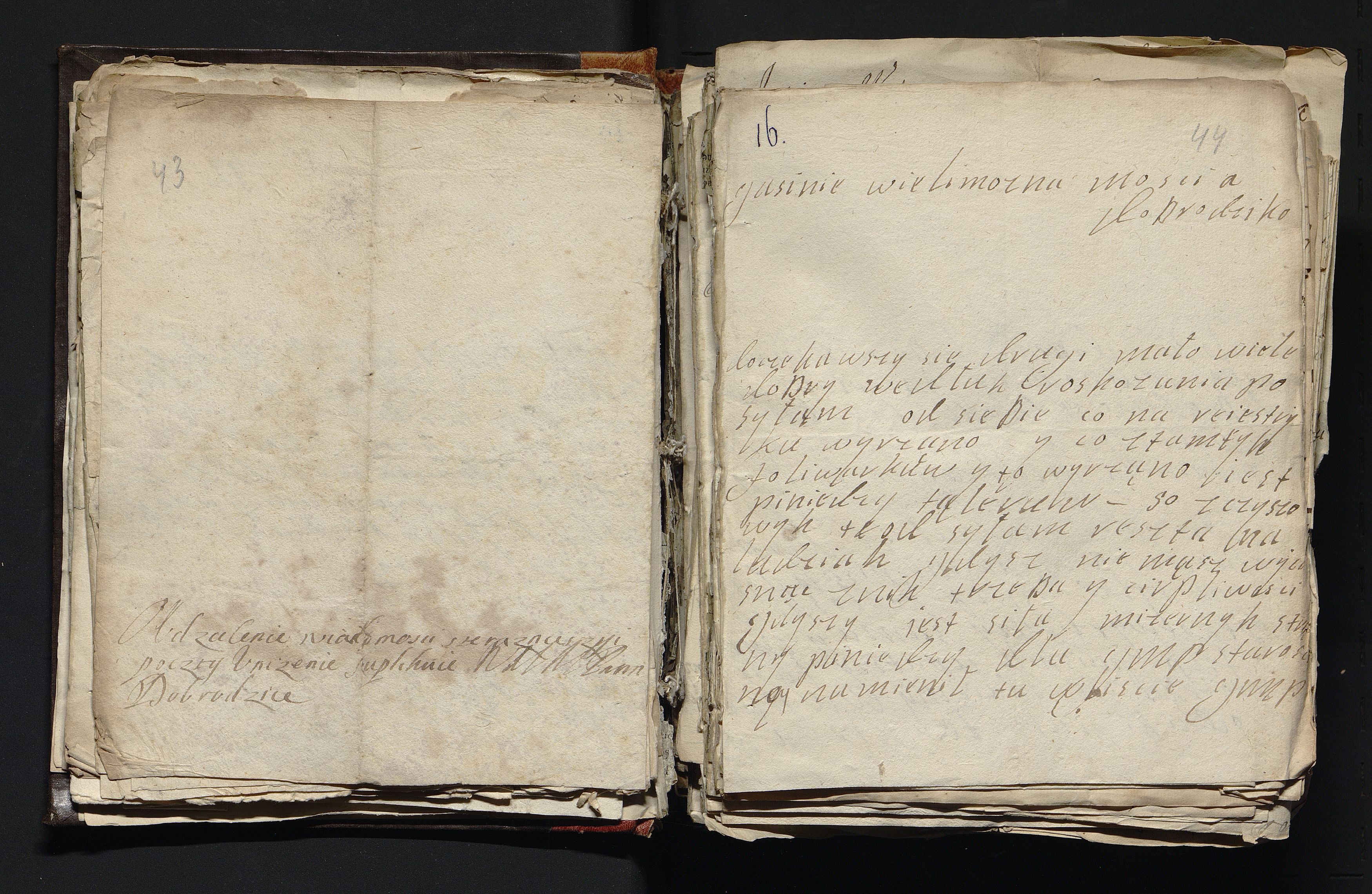 1_335_0_0_163a-47_0033