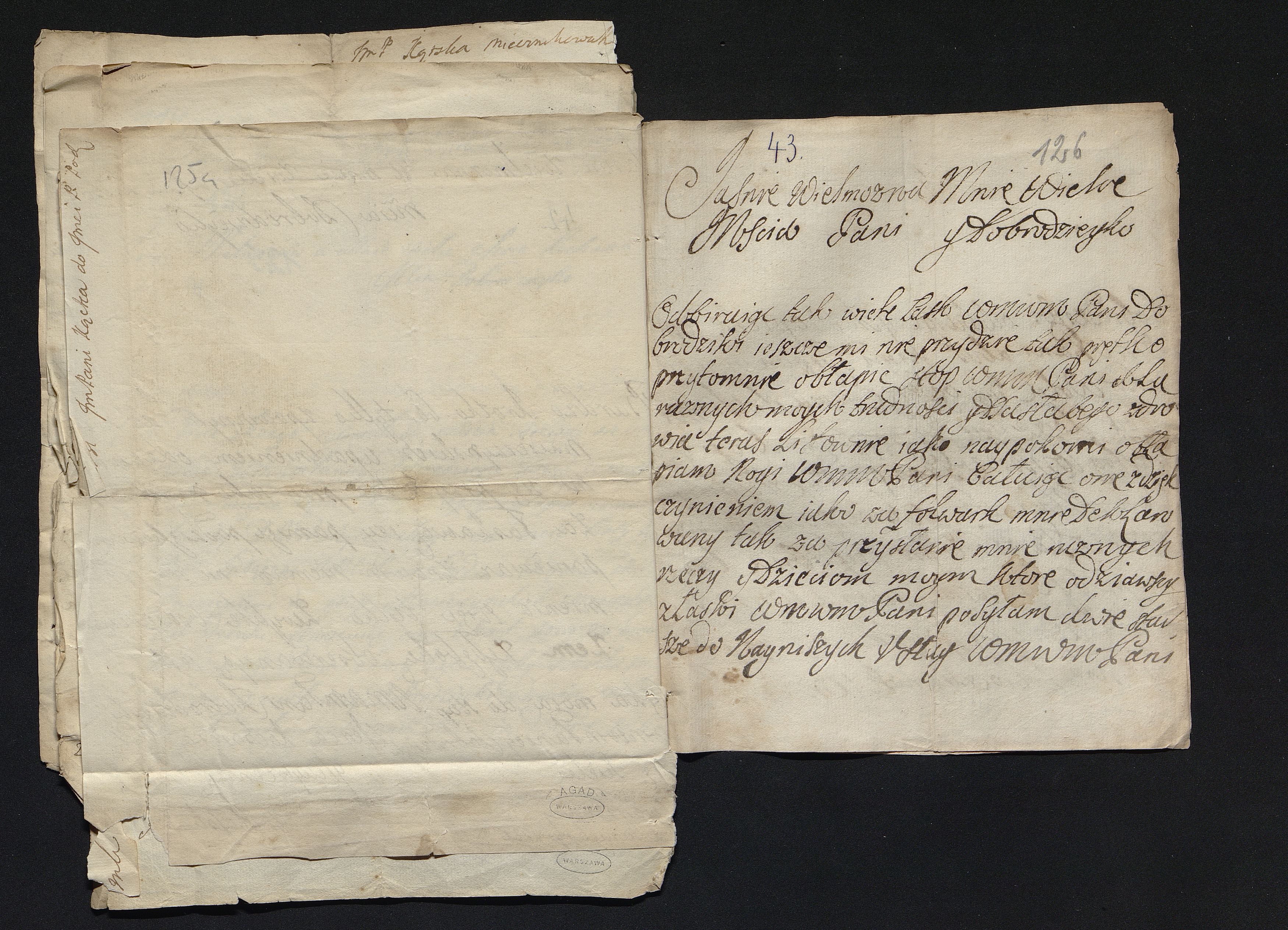 1_335_0_0_163a-47_0081