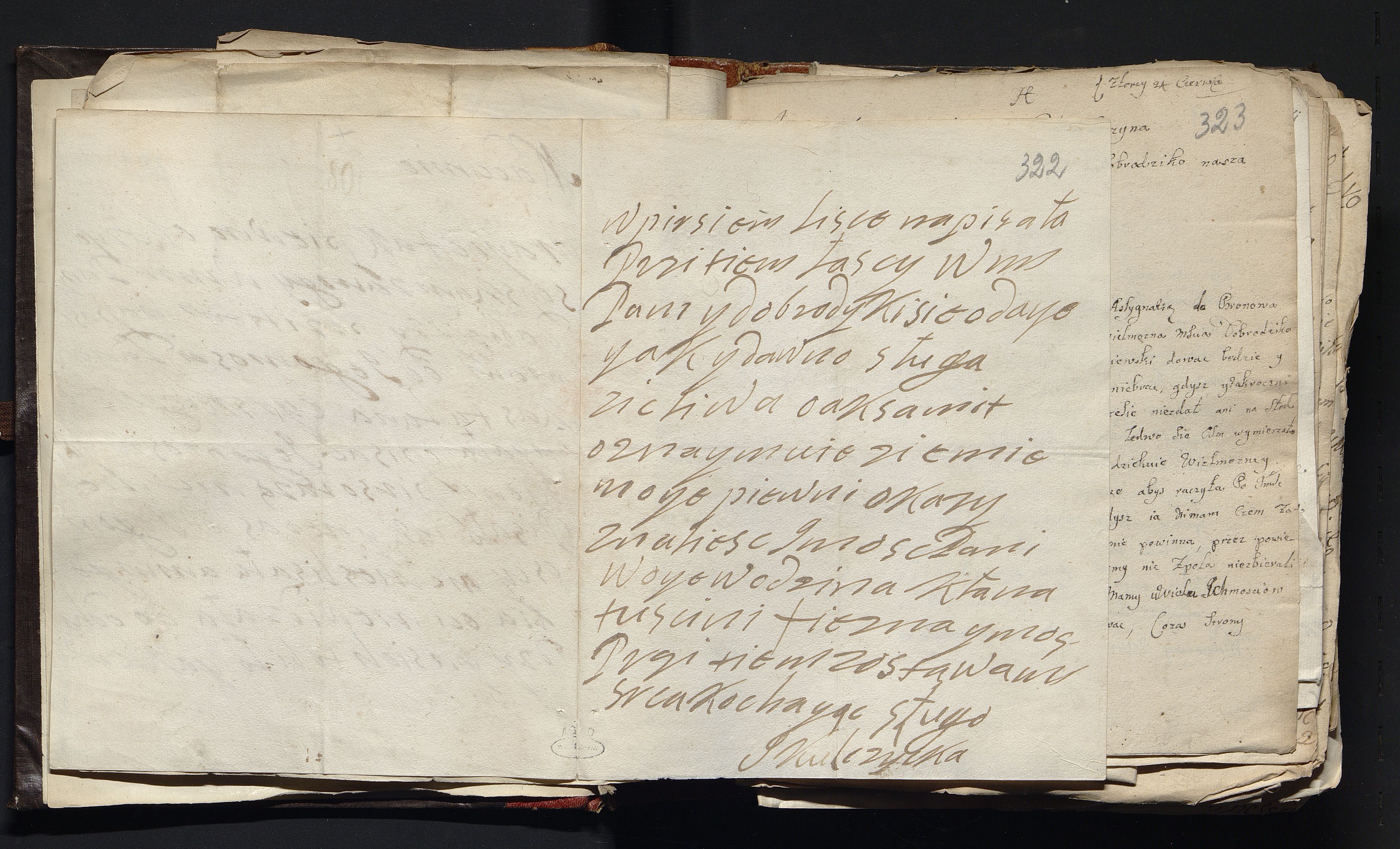 1_335_0_0_163a-47_0209