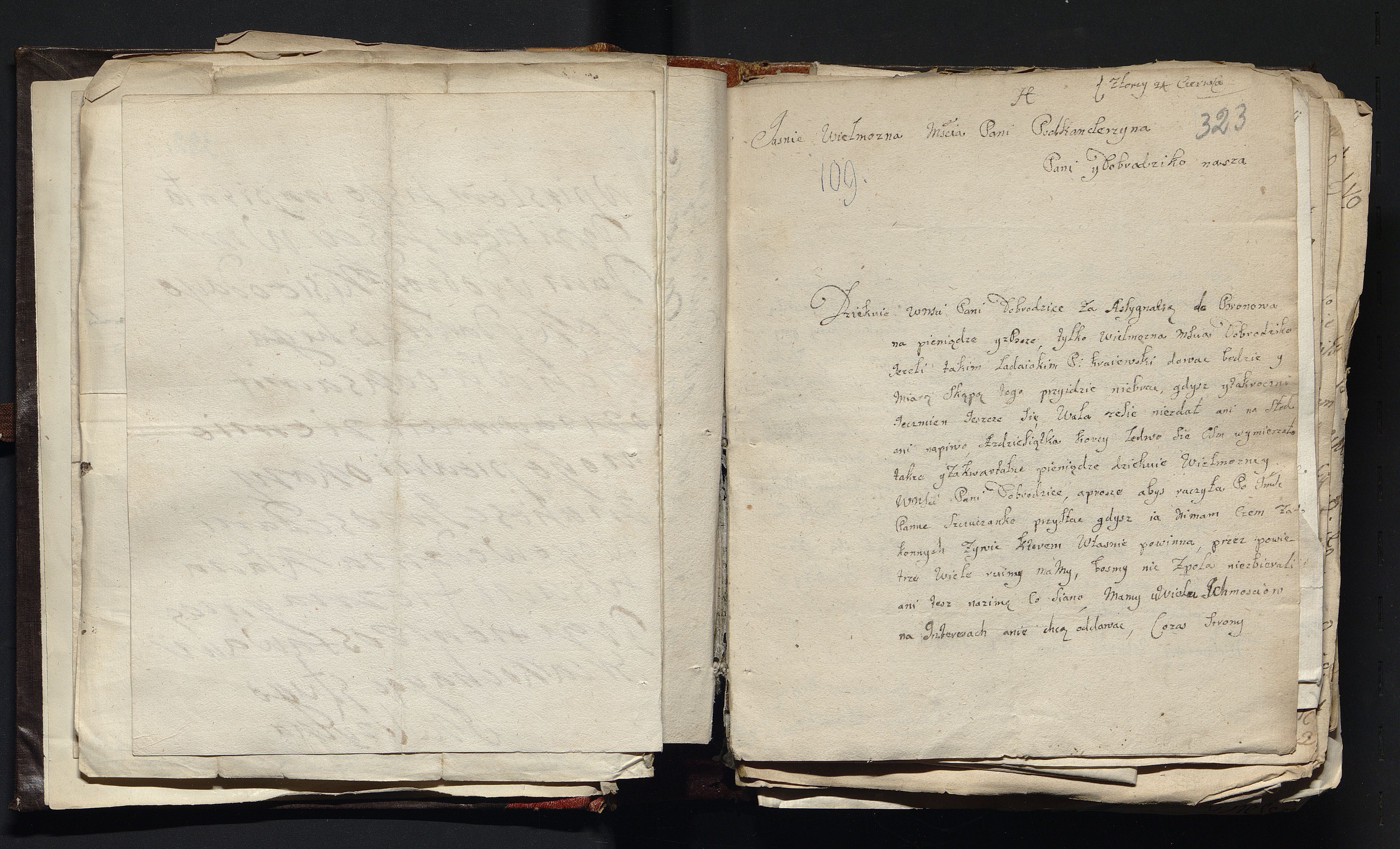 1_335_0_0_163a-47_0210