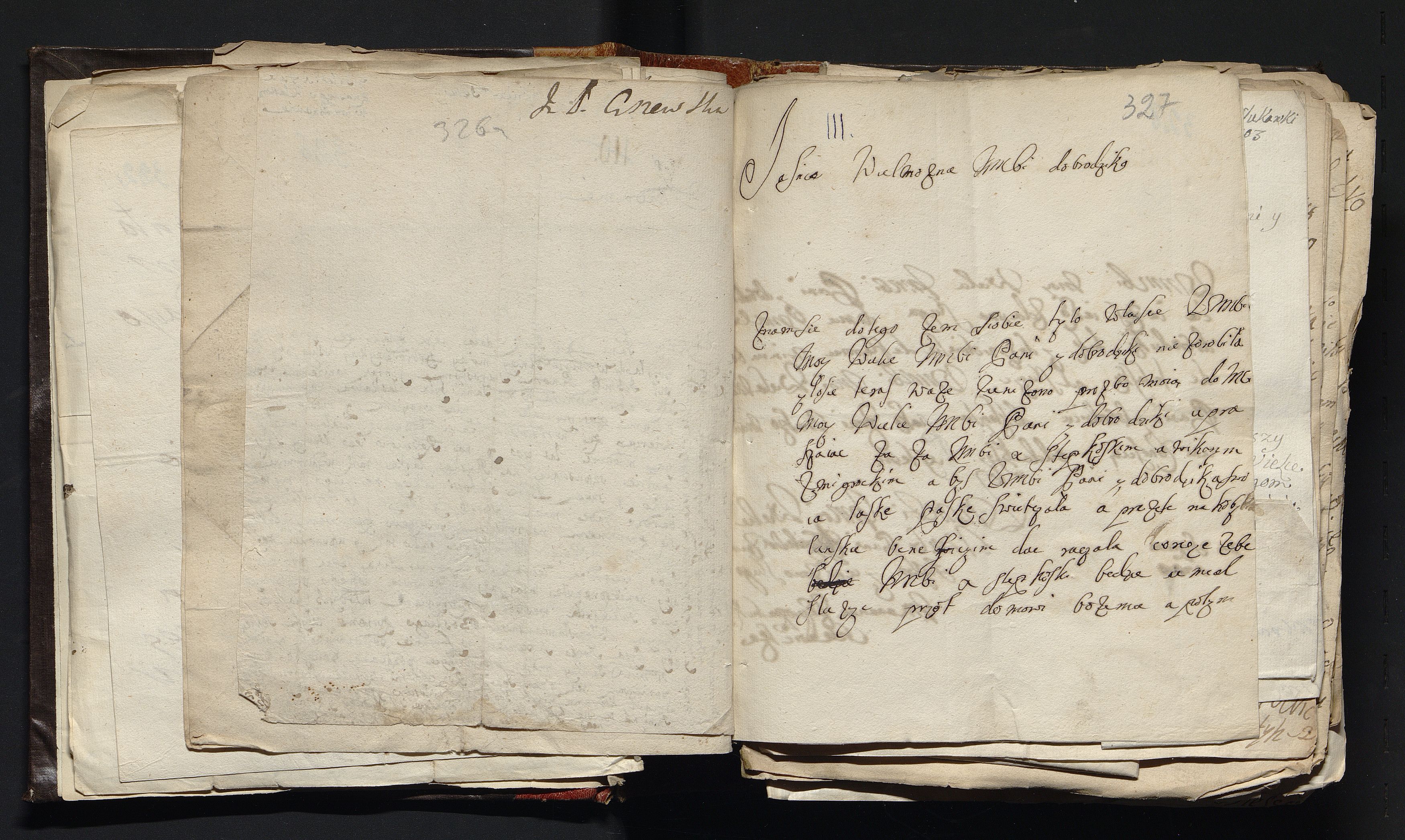 1_335_0_0_163a-47_0213