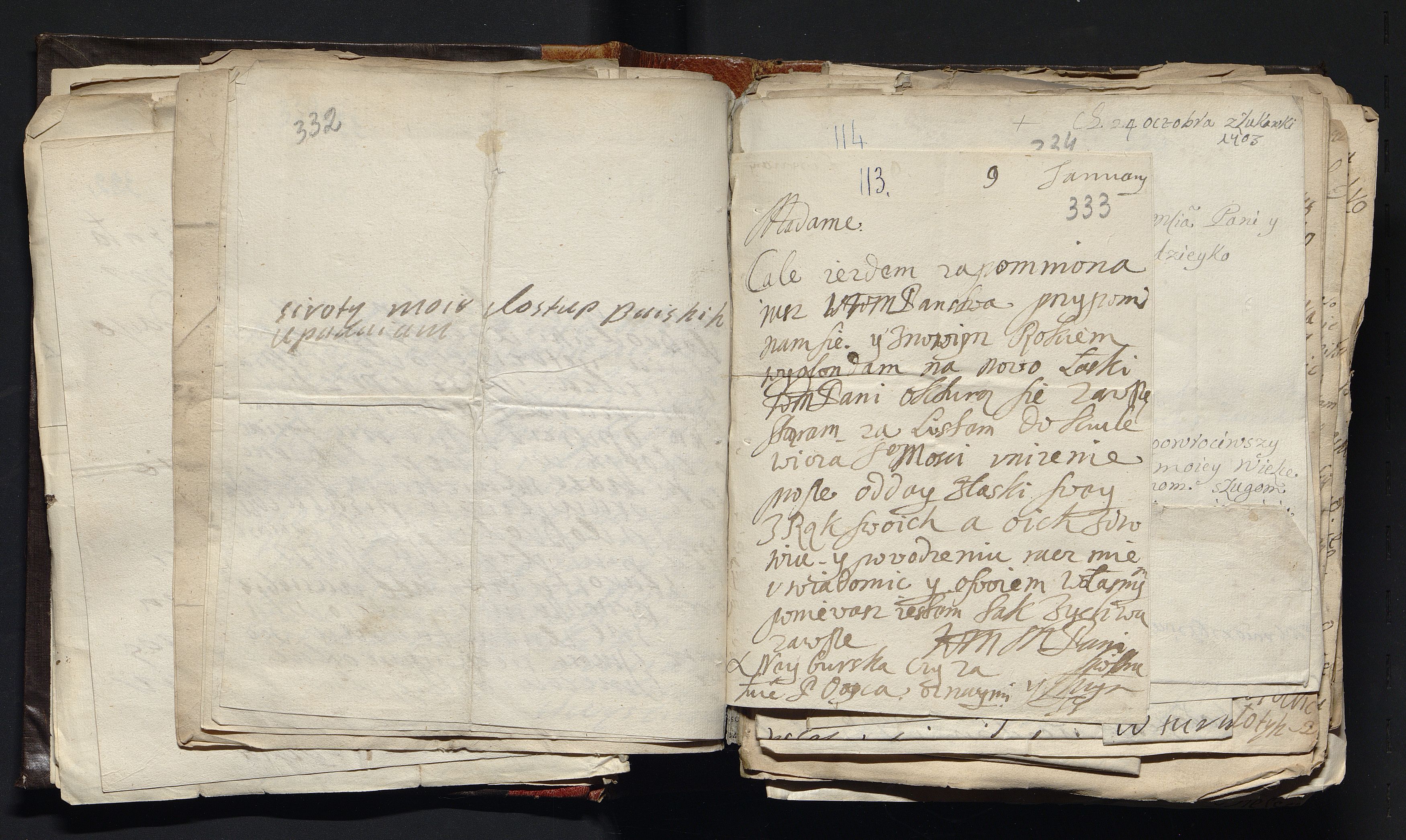 1_335_0_0_163a-47_0217