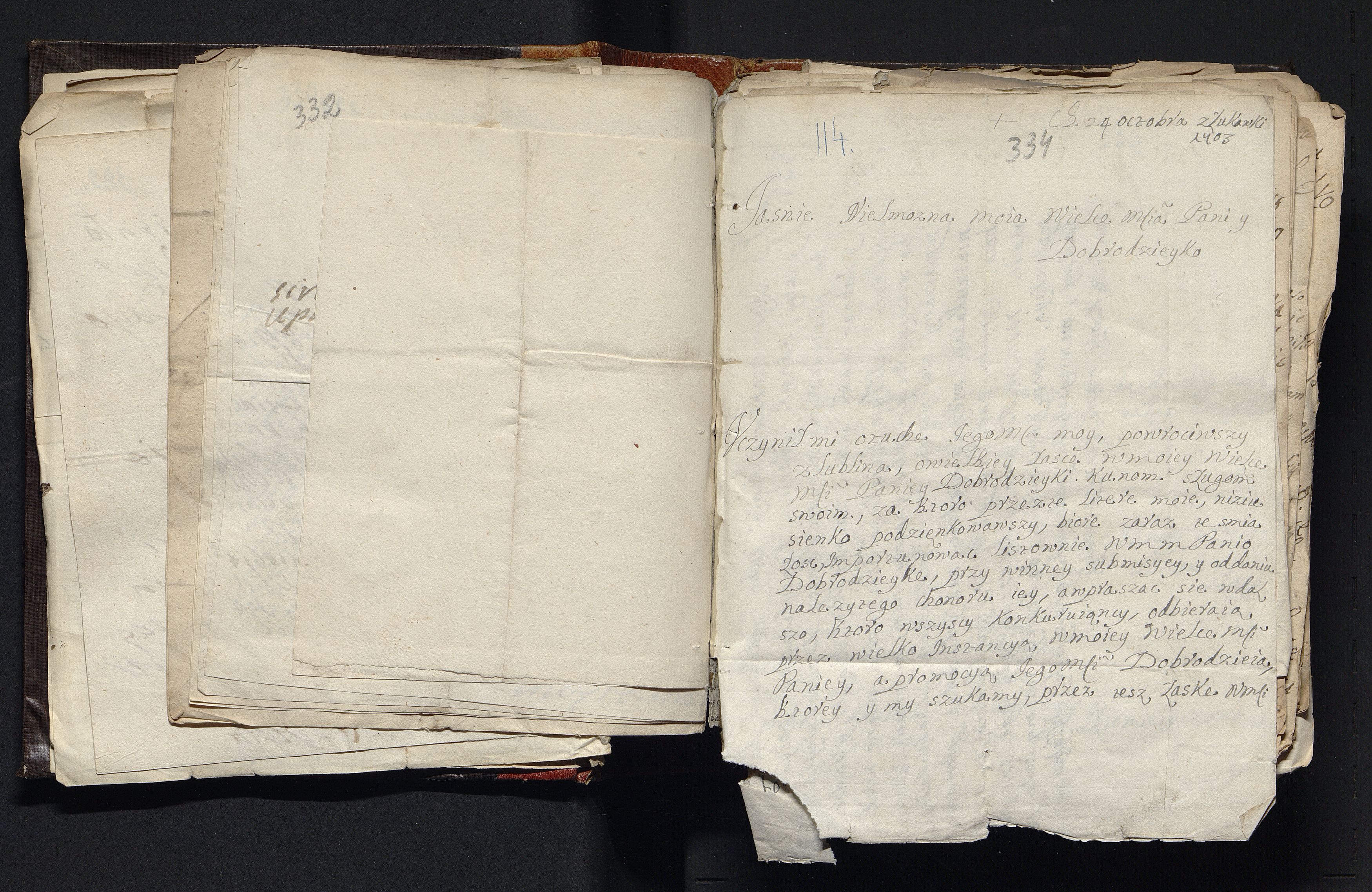 1_335_0_0_163a-47_0218