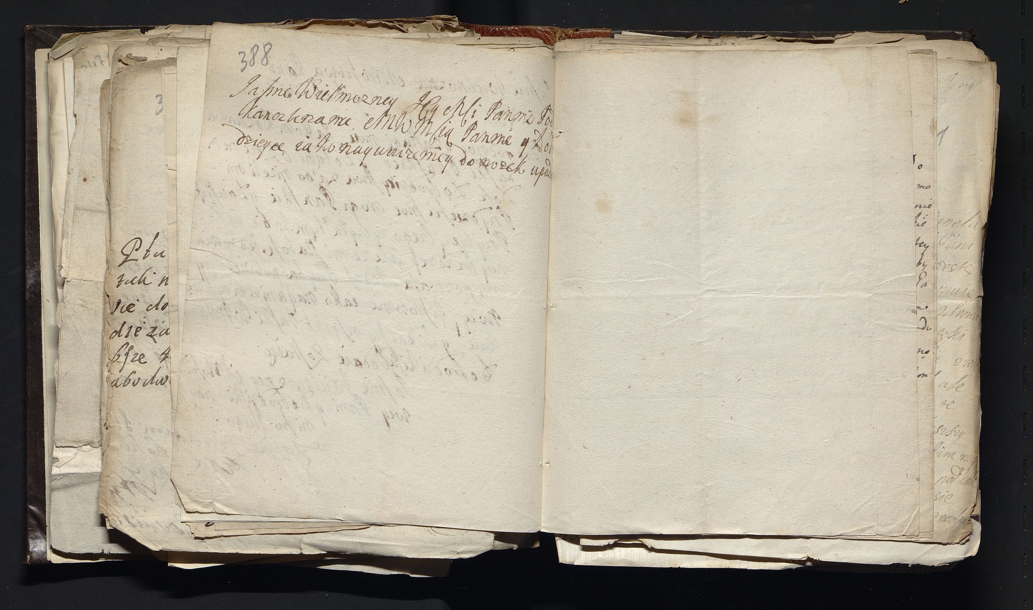 1_335_0_0_163a-47_0249