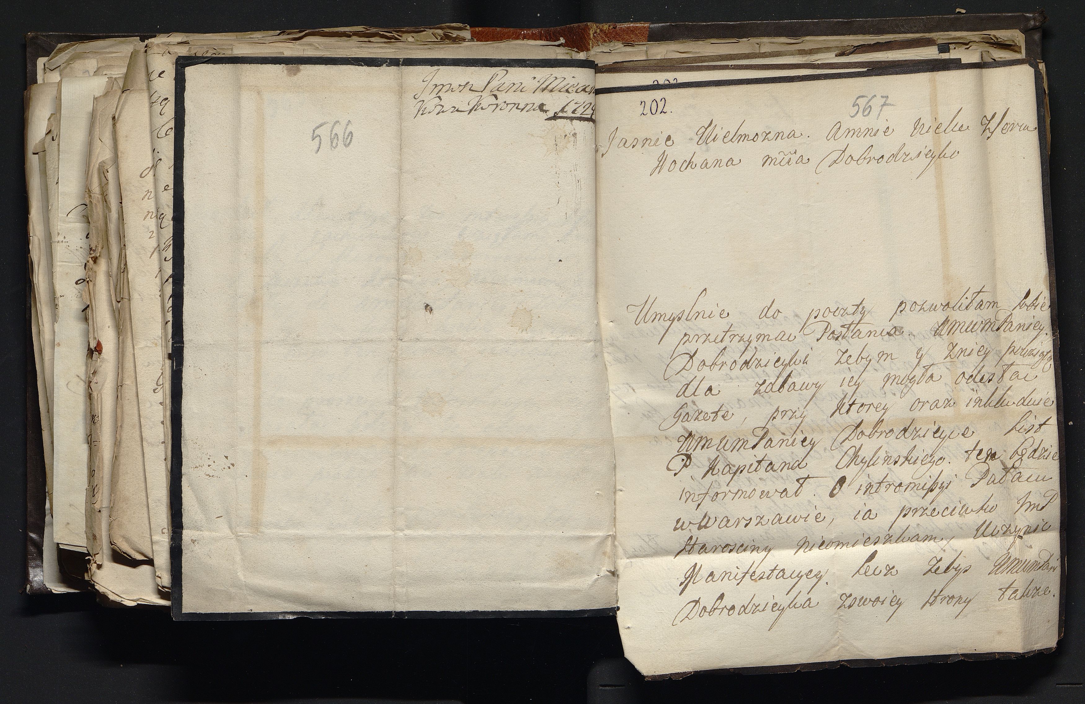 1_335_0_0_163a-47_0362