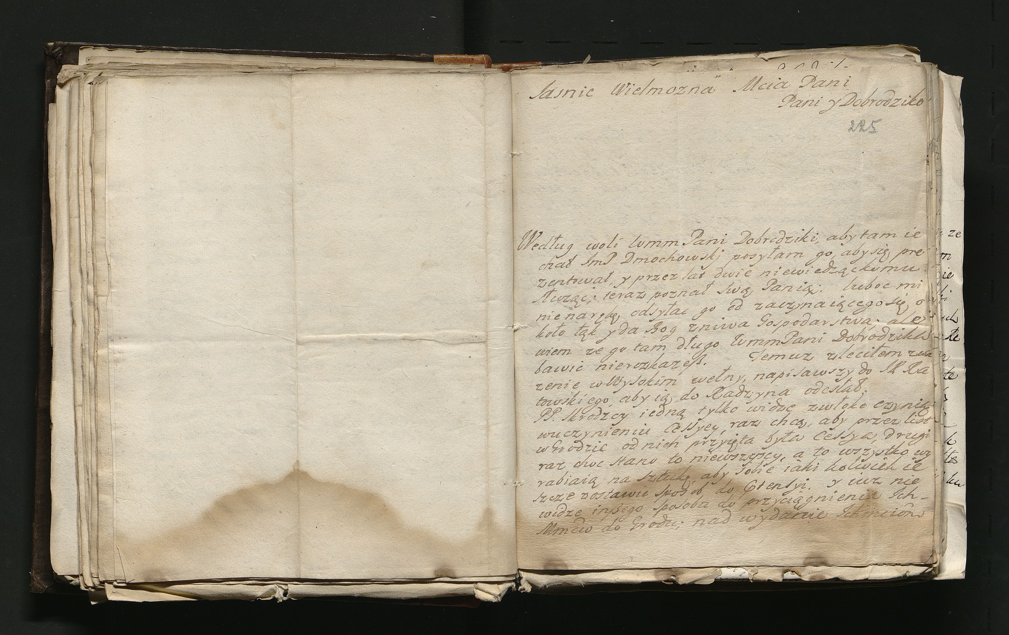 1_335_0_0_163a-48_0123