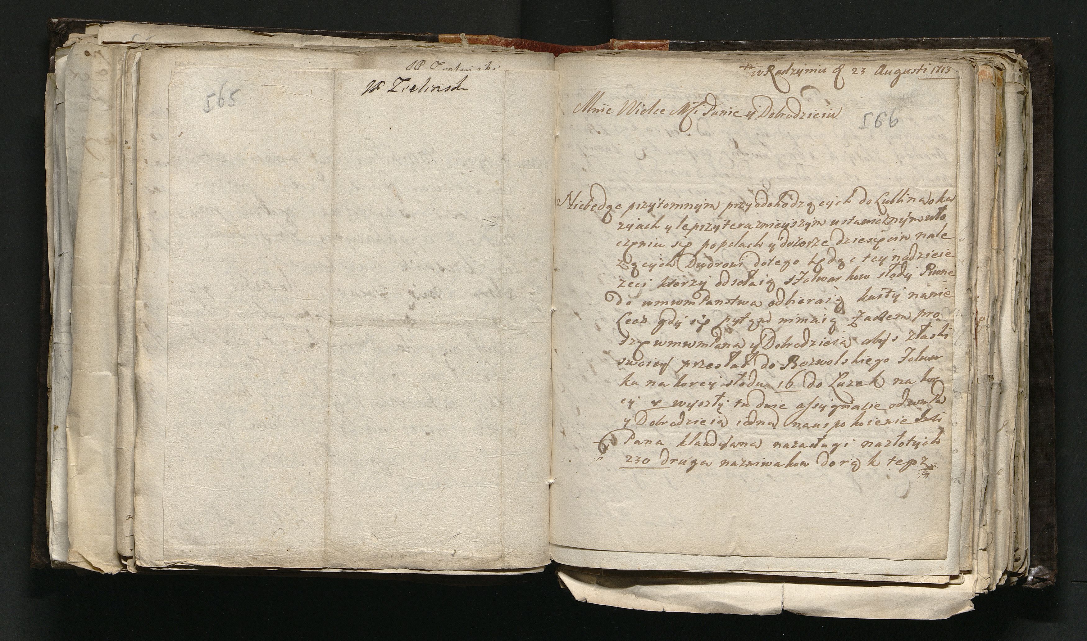 1_335_0_0_163a-48_0300