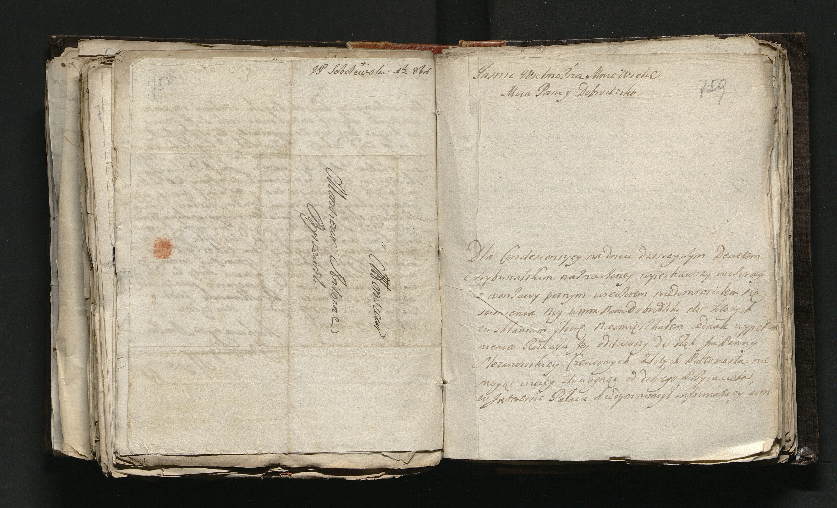 1_335_0_0_163a-48_0401