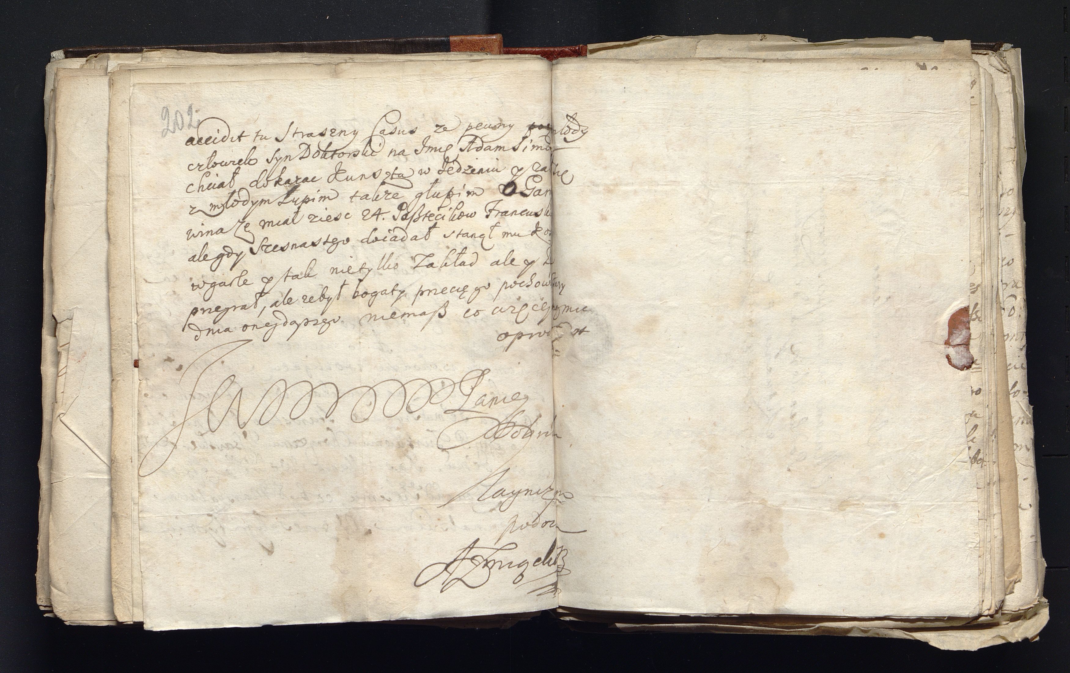 1_335_0_0_163a-49_0123