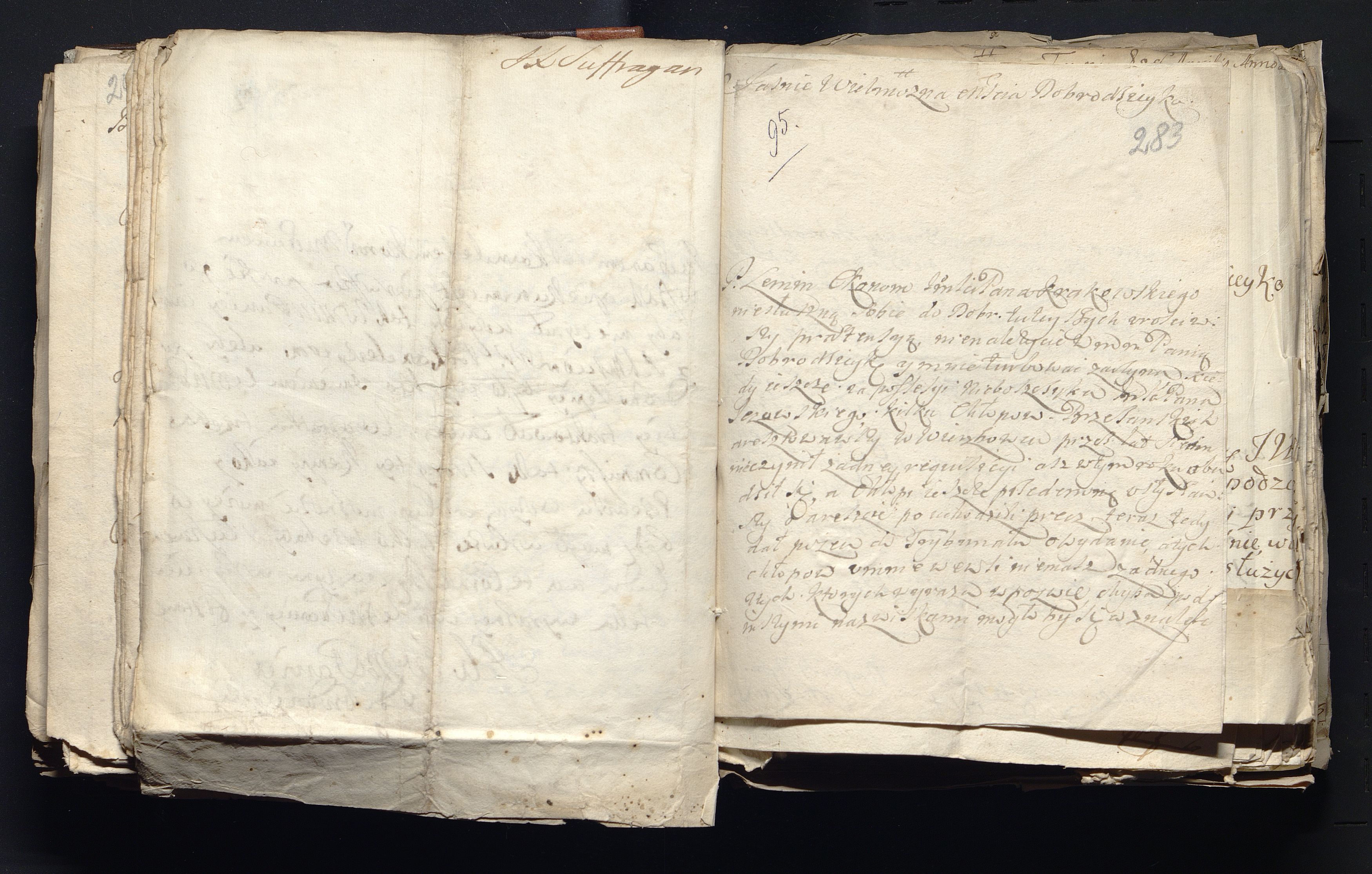 1_335_0_0_163a-49_0171