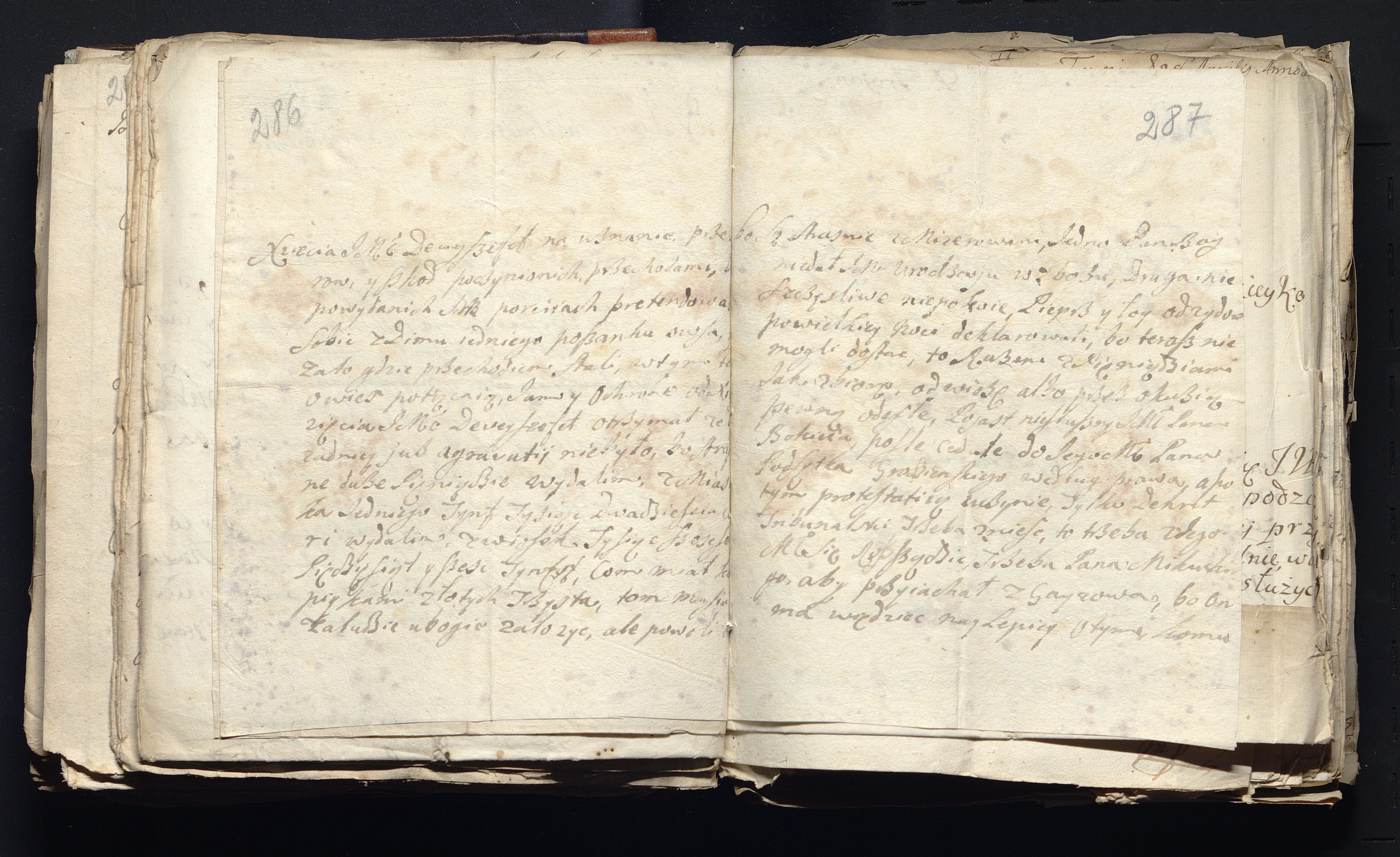 1_335_0_0_163a-49_0174