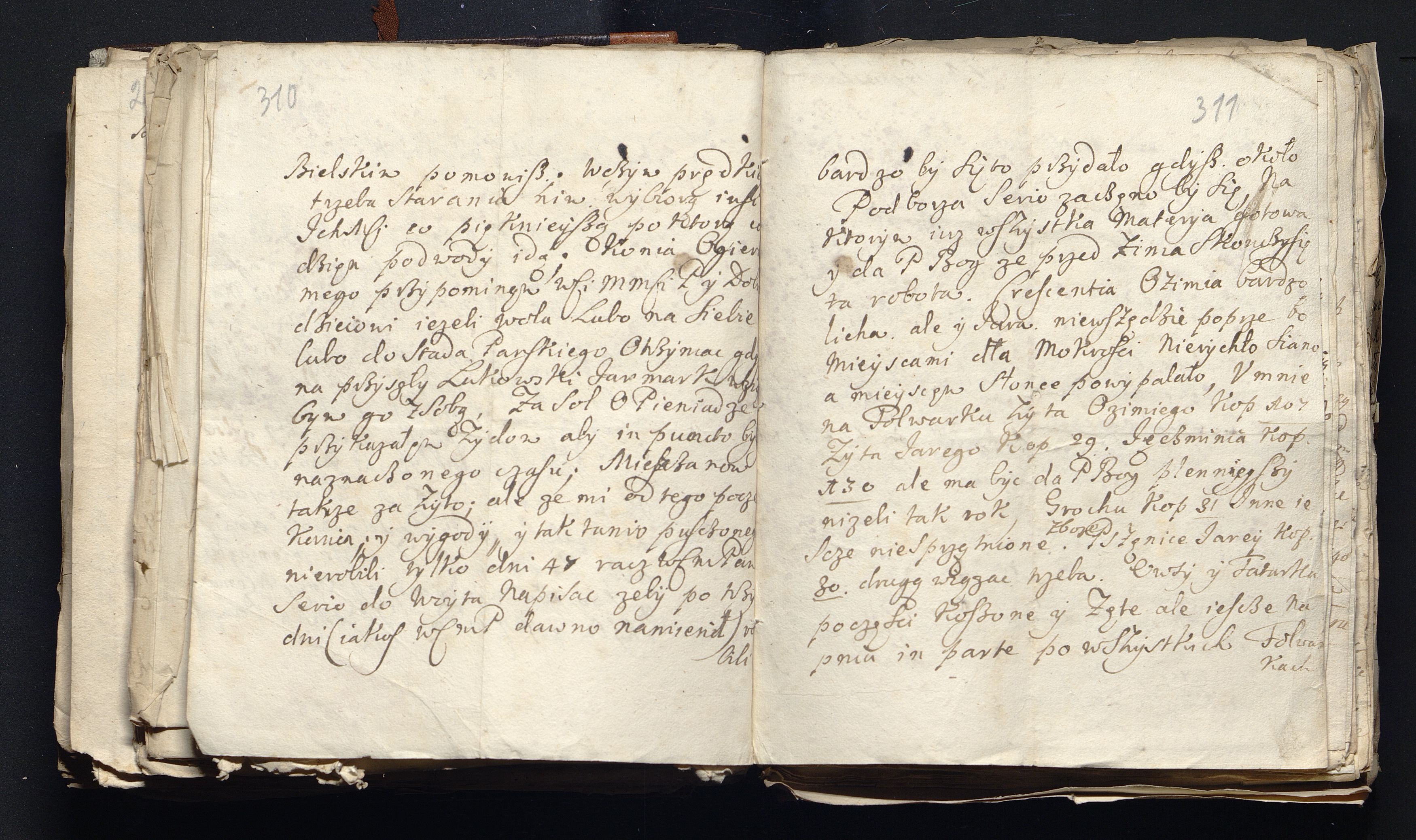 1_335_0_0_163a-49_0191