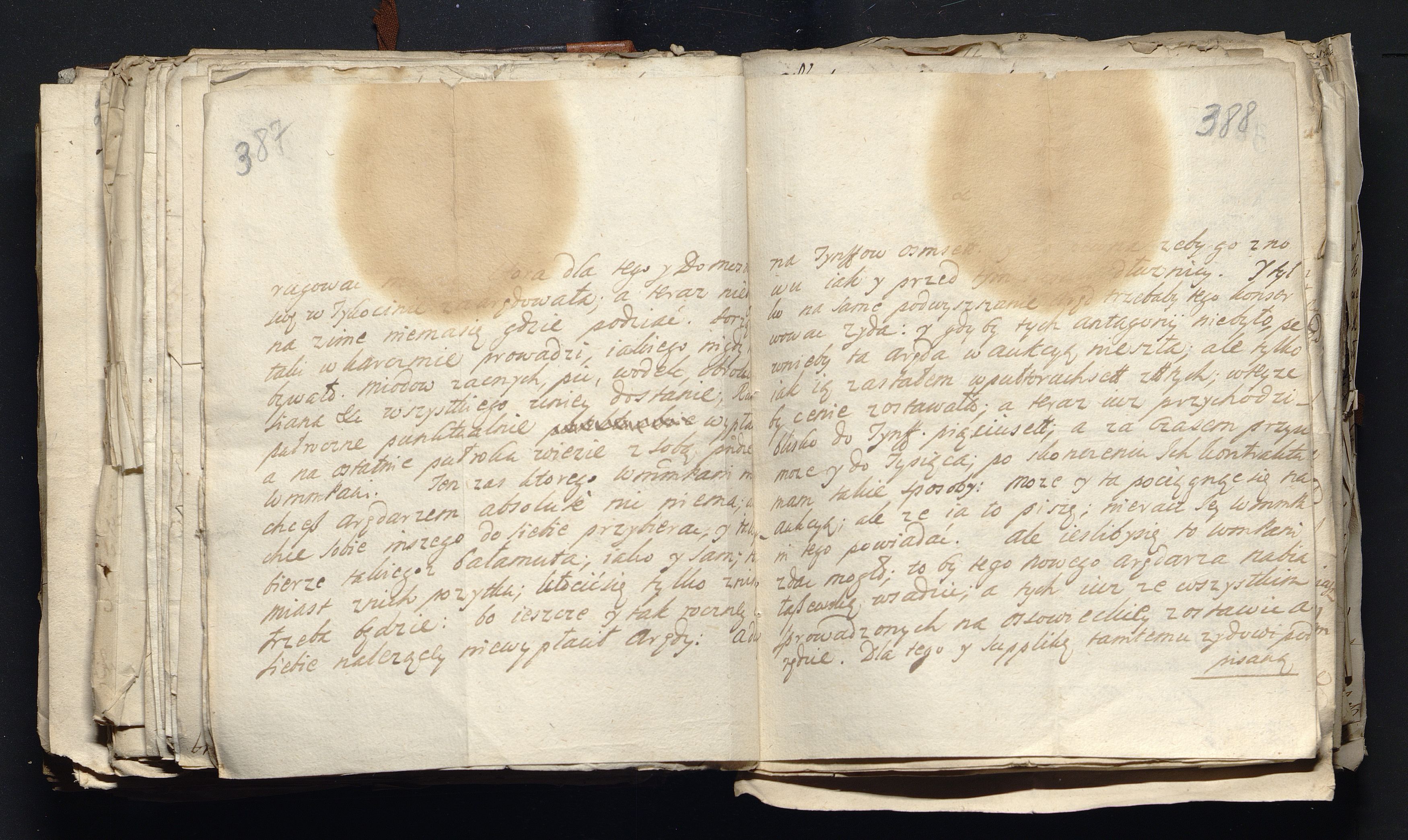 1_335_0_0_163a-49_0233