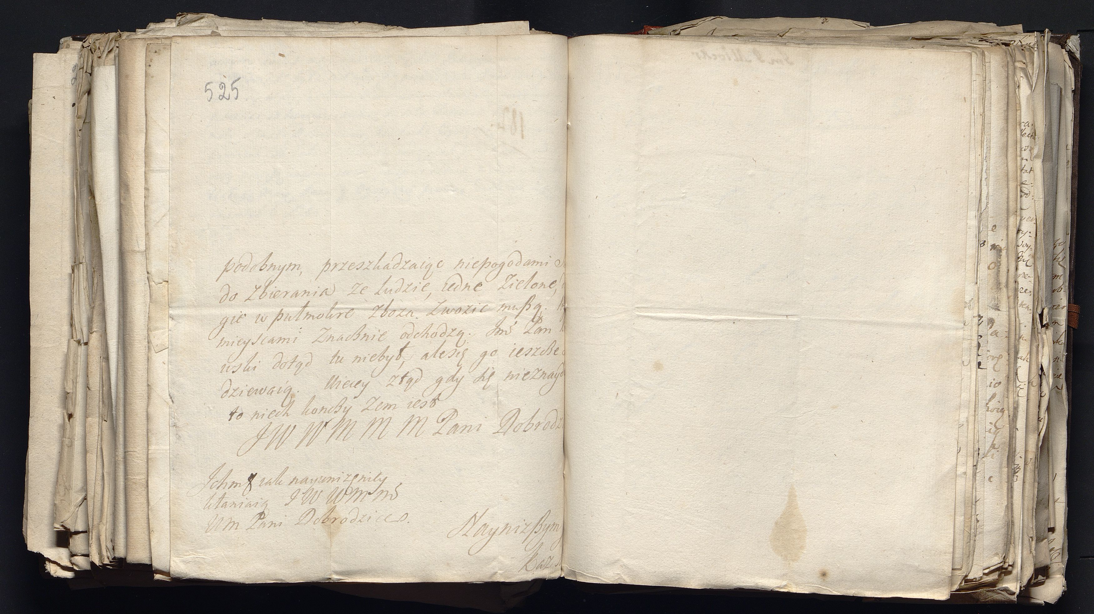 1_335_0_0_163a-49_0321