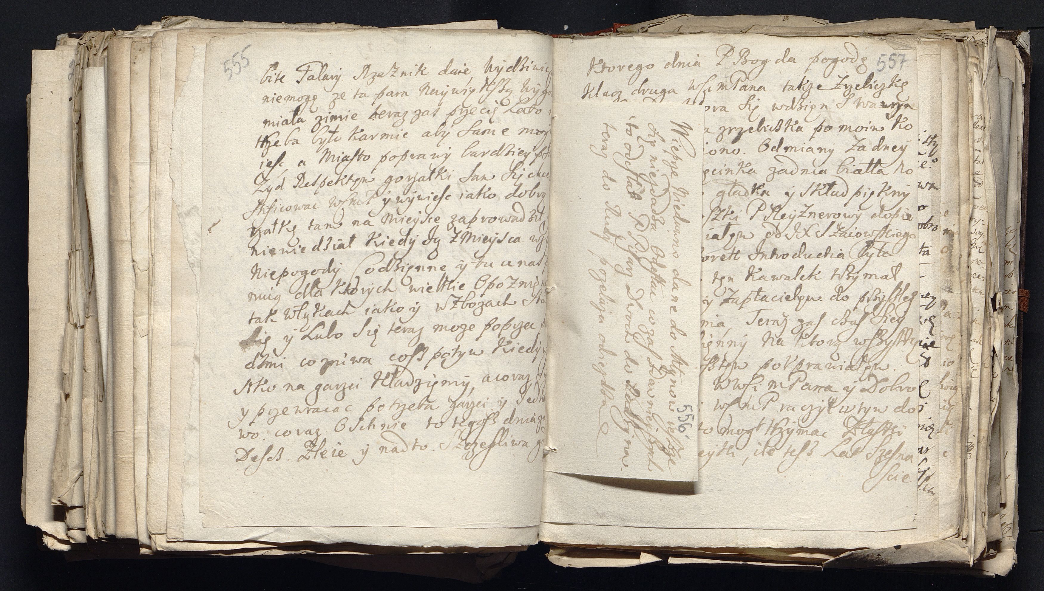 1_335_0_0_163a-49_0340