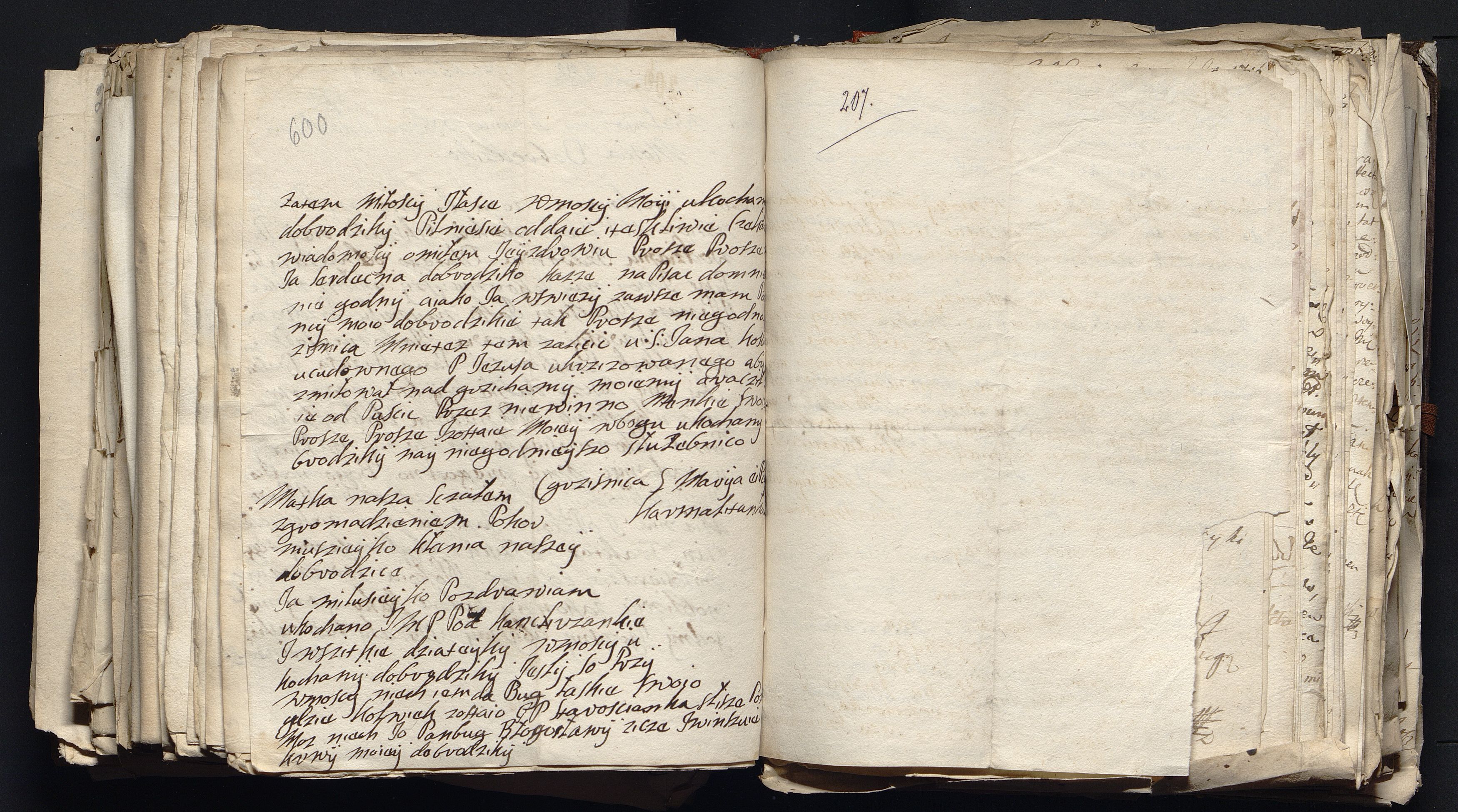 1_335_0_0_163a-49_0365