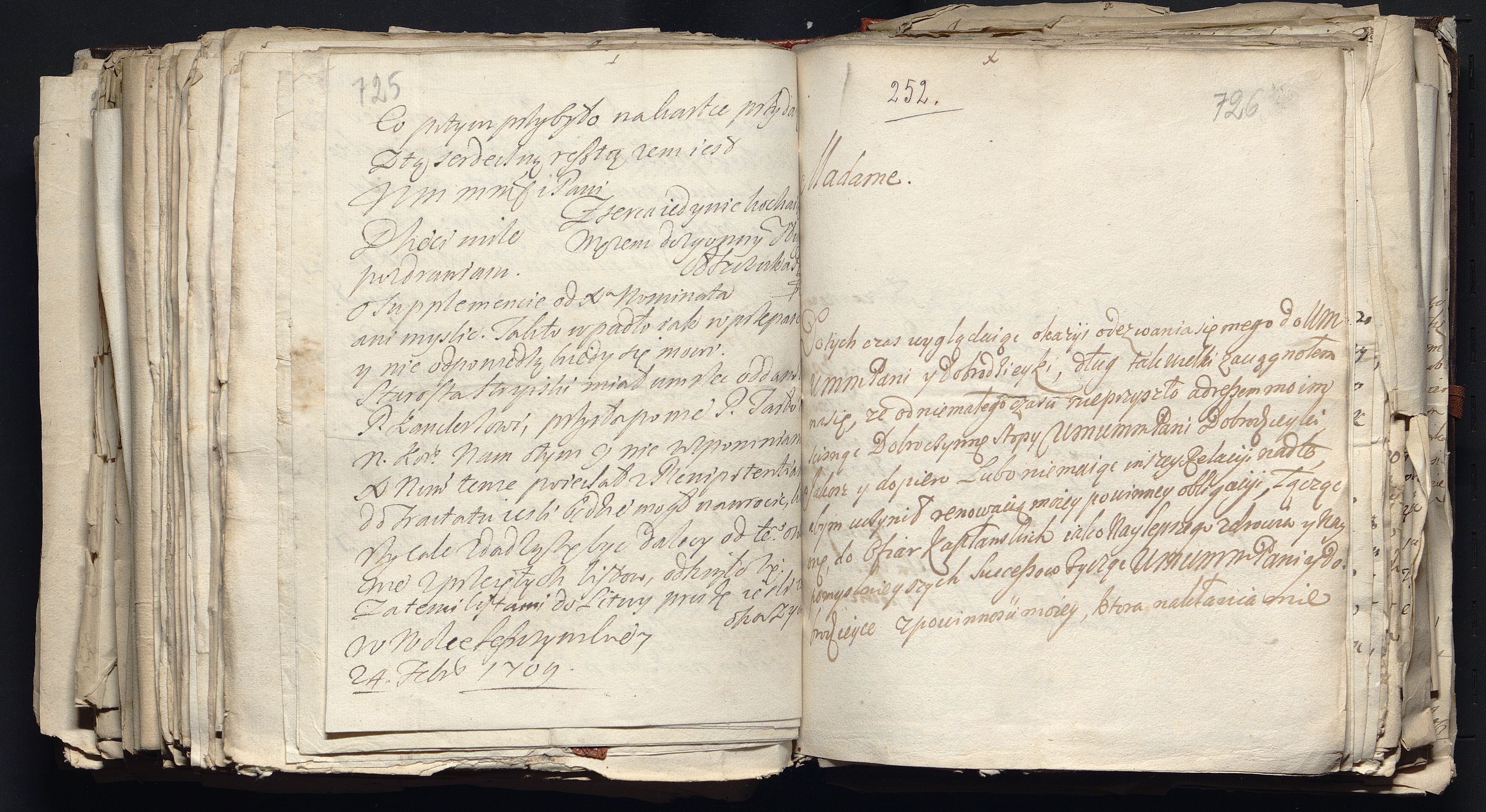 1_335_0_0_163a-49_0447